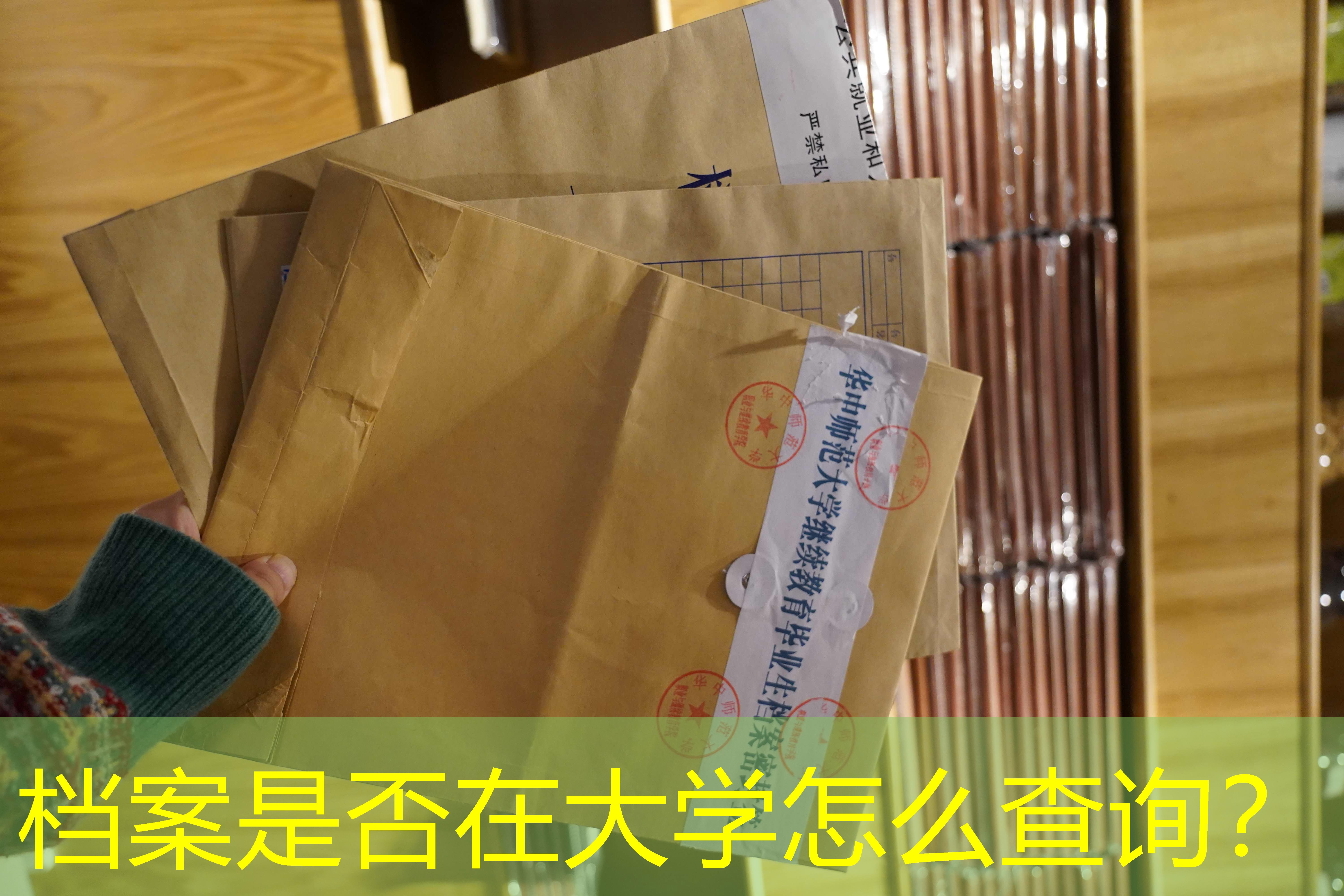 档案查询