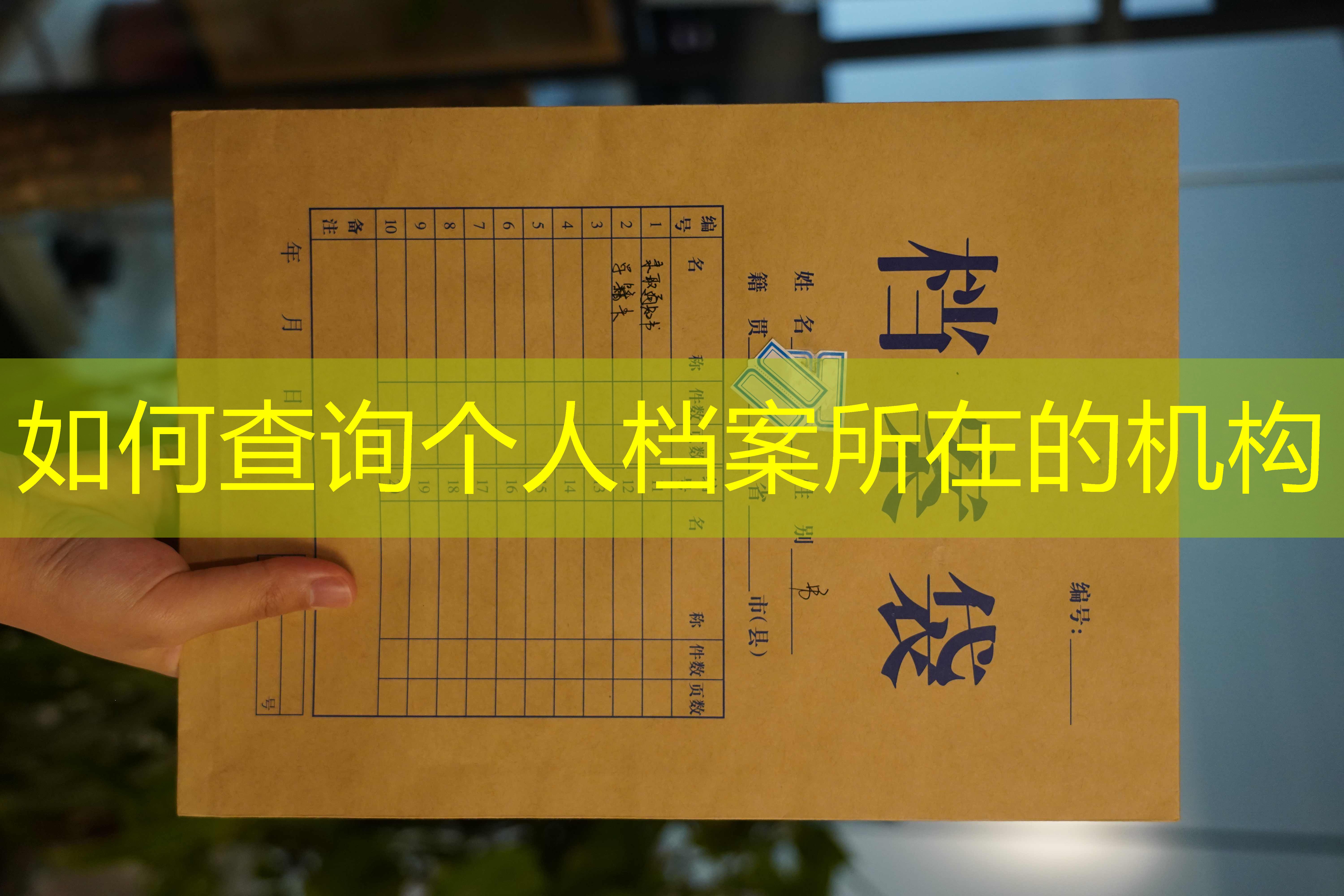 档案查询