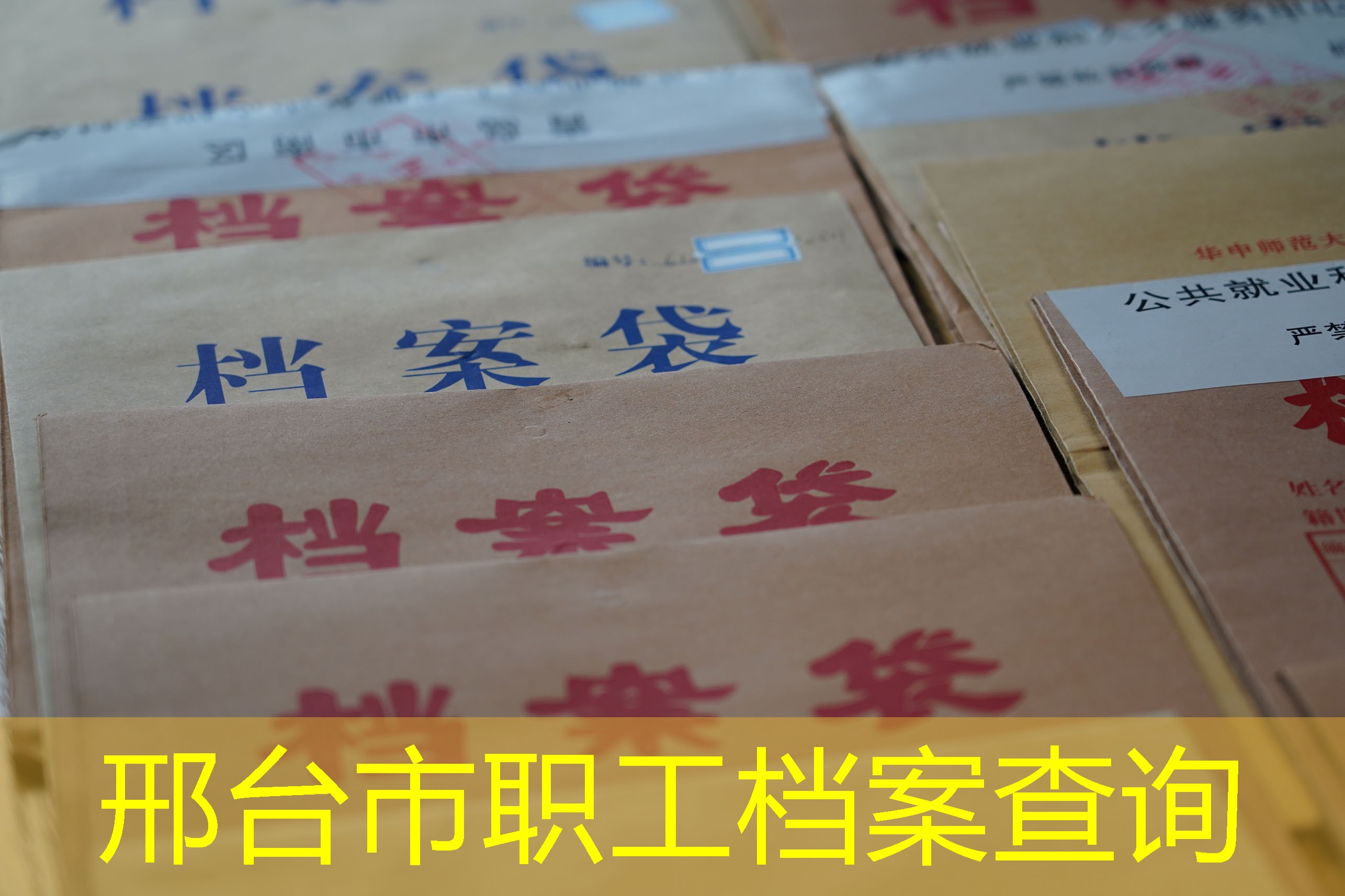档案查询