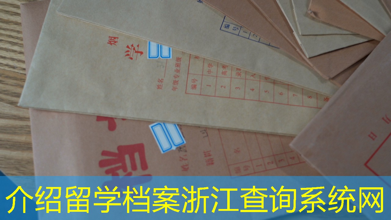 档案查询