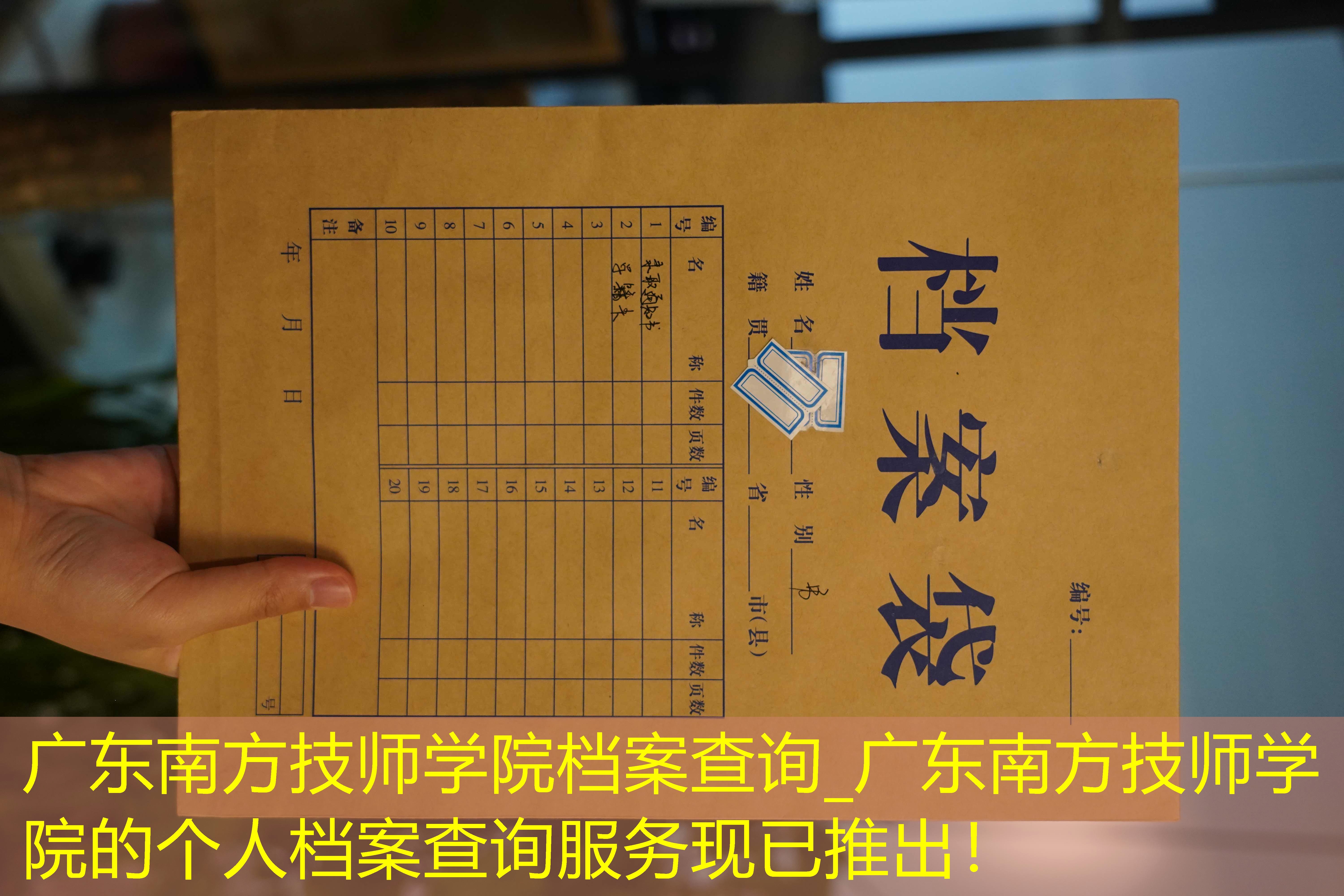 档案查询