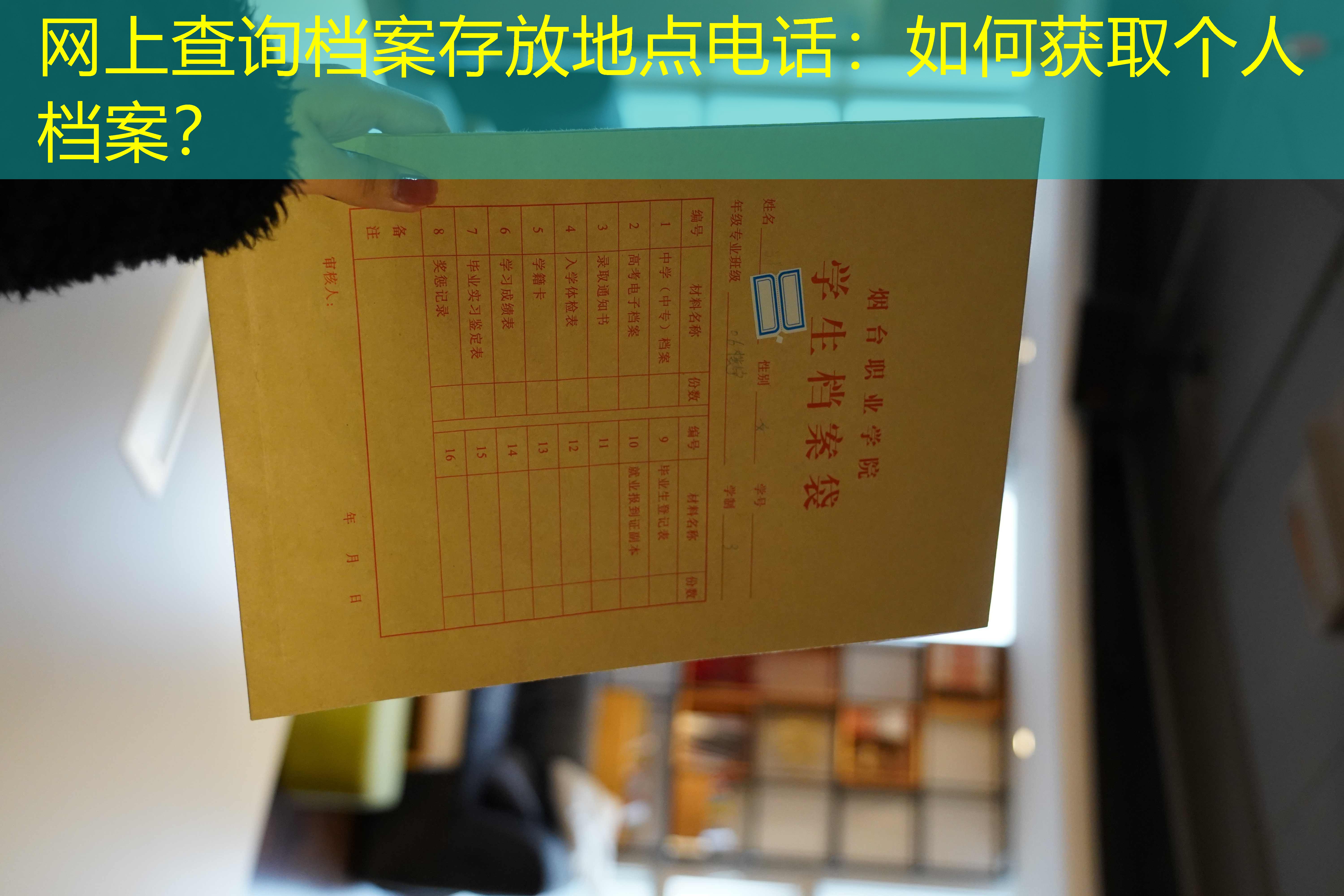 档案查询