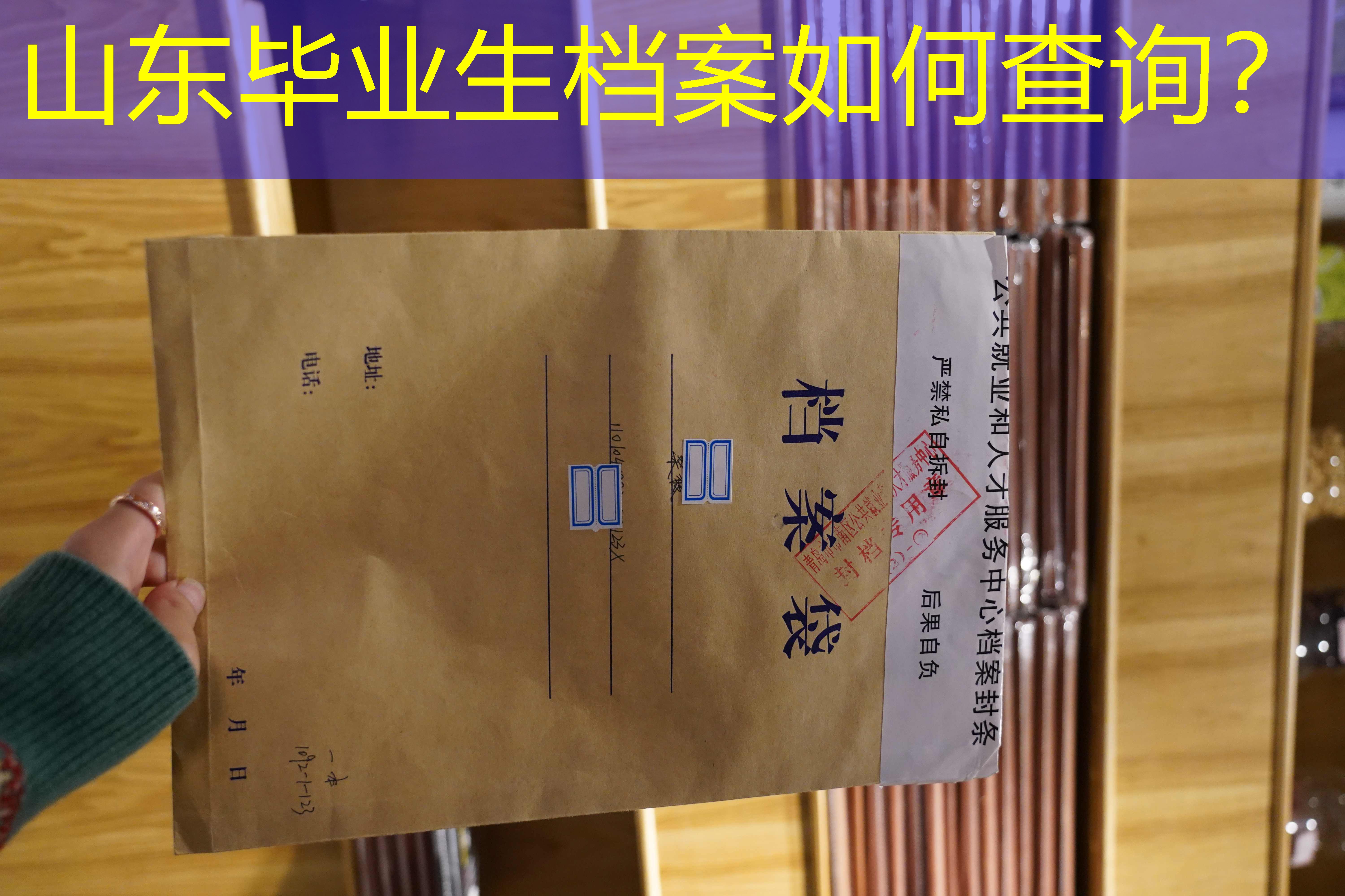 档案查询