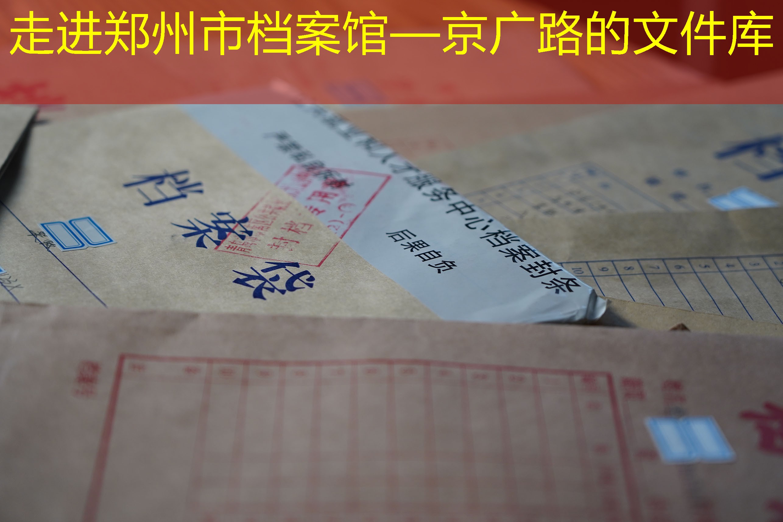 档案查询