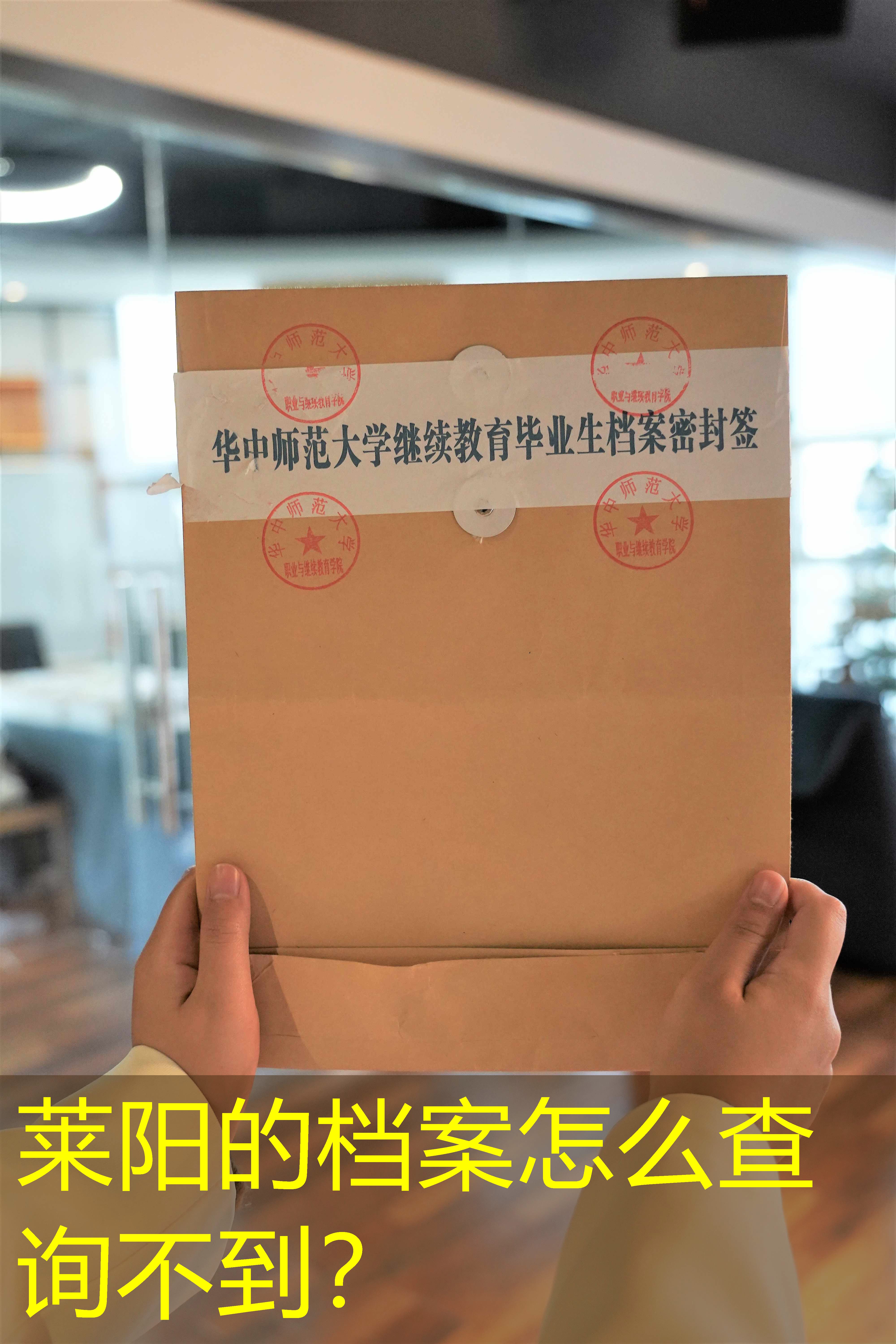 档案查询