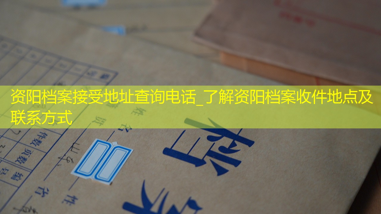 档案查询
