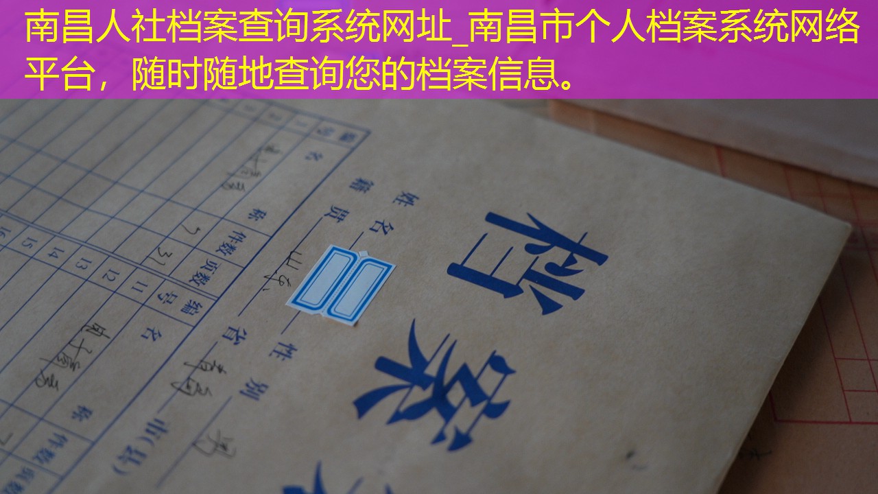 档案查询