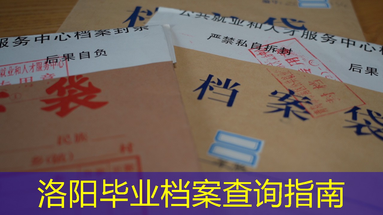 档案查询