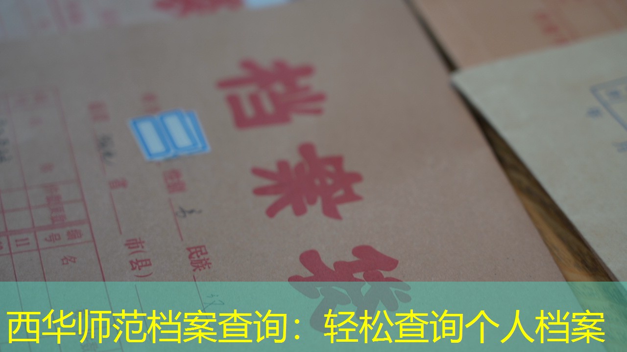 档案查询