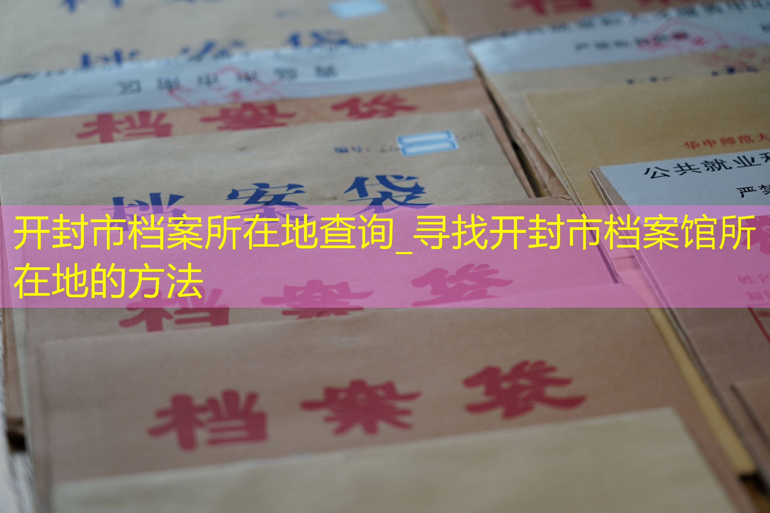 档案查询