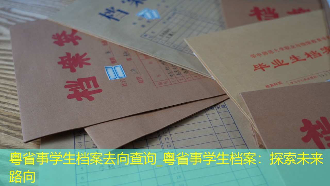 档案查询