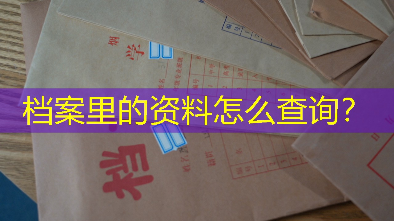 档案查询
