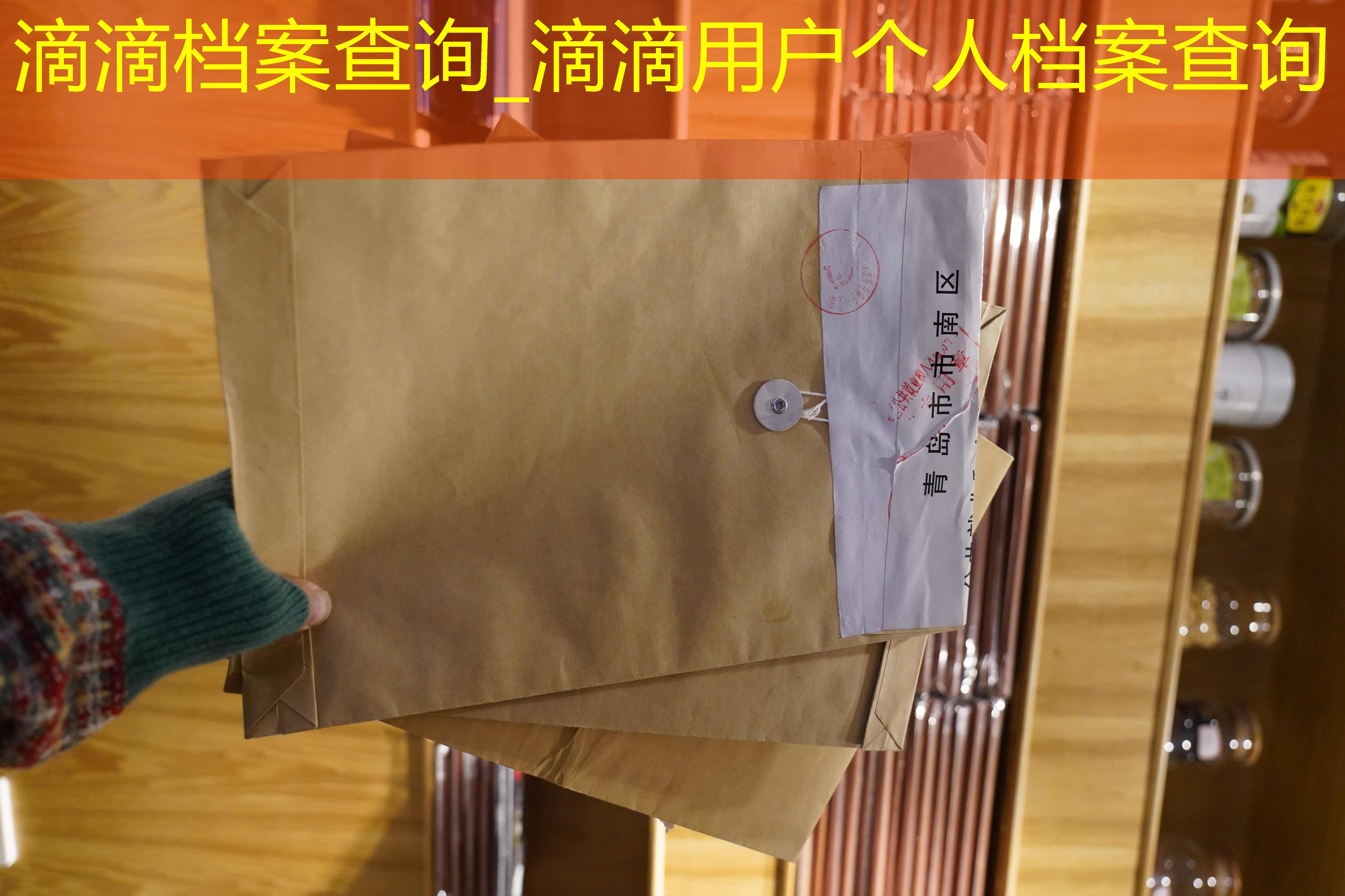 档案查询