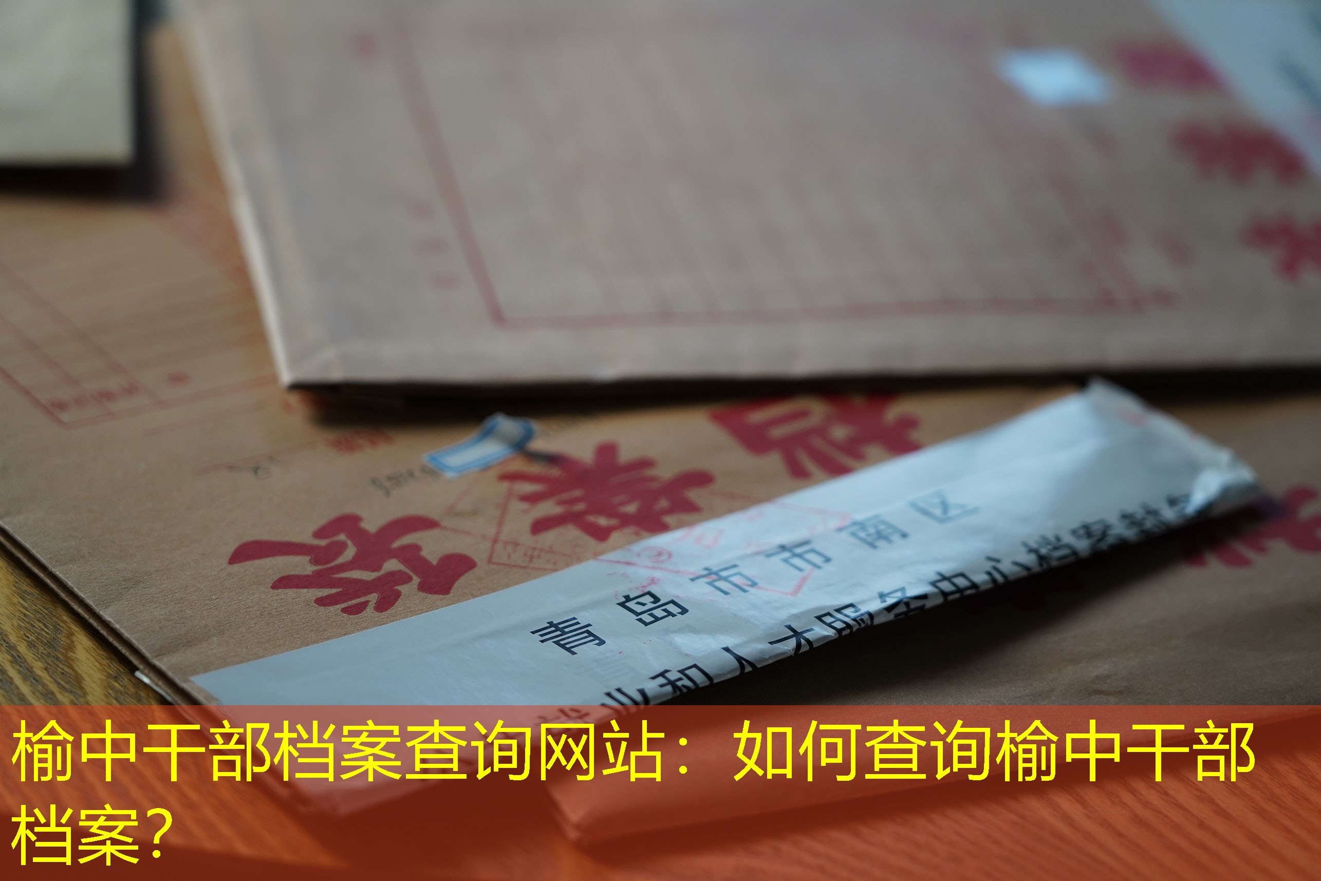 档案查询