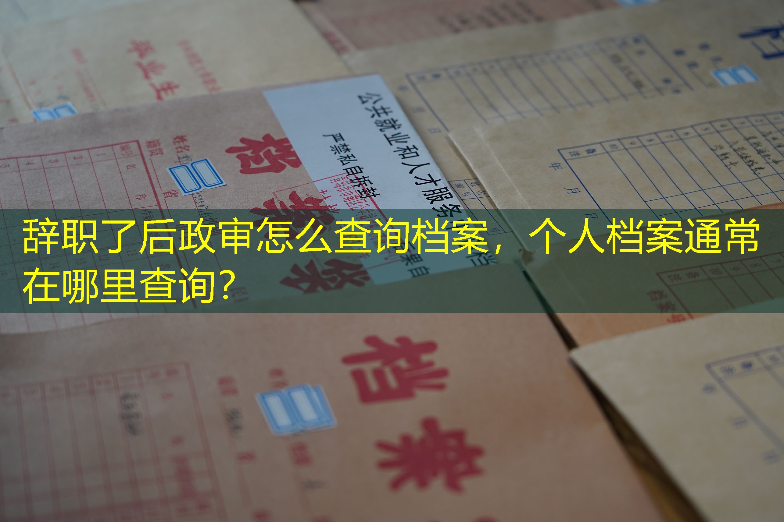 档案查询