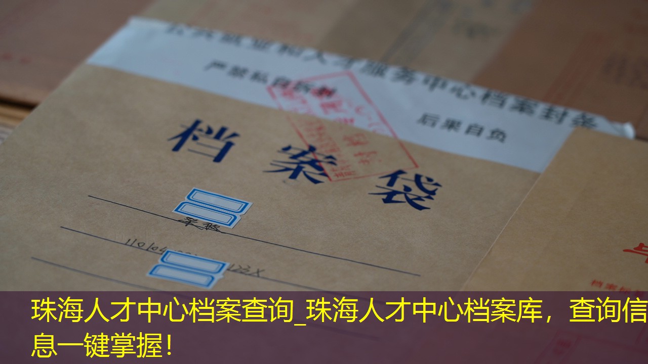 档案查询