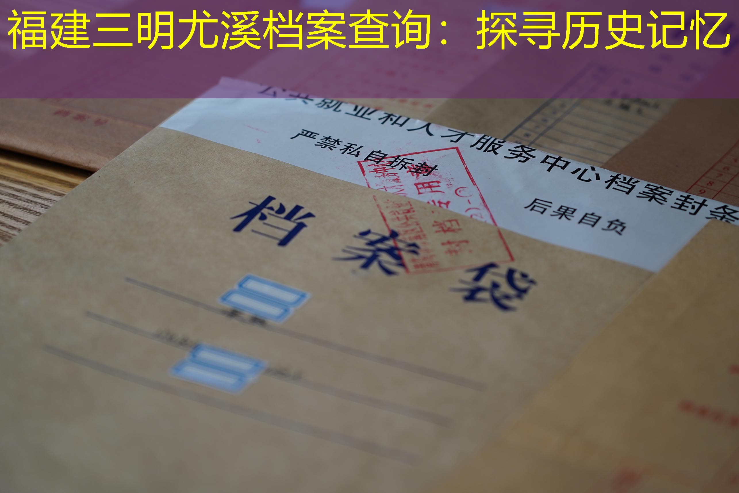 档案查询