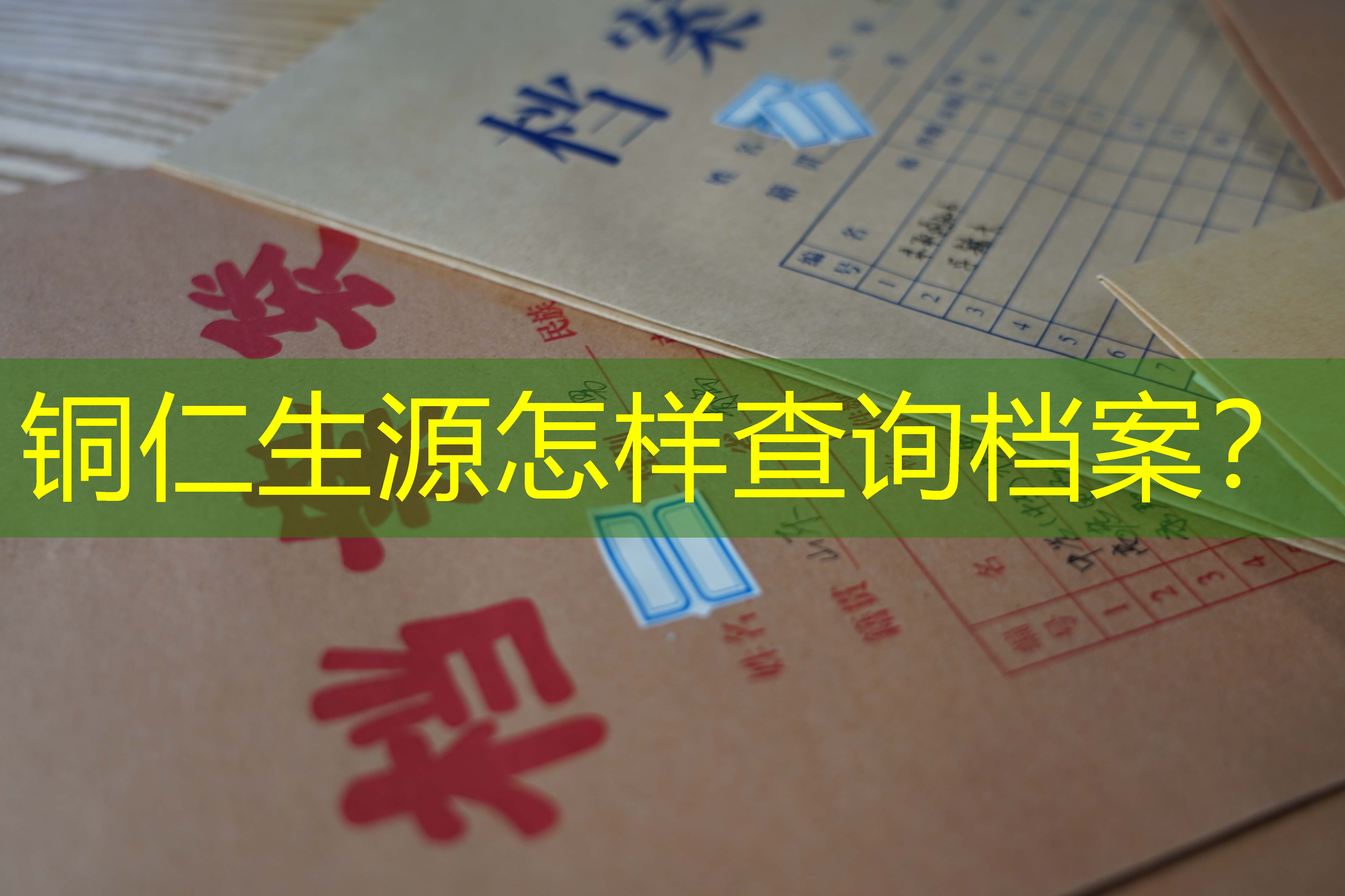 档案查询
