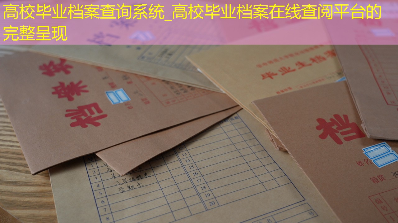 档案查询