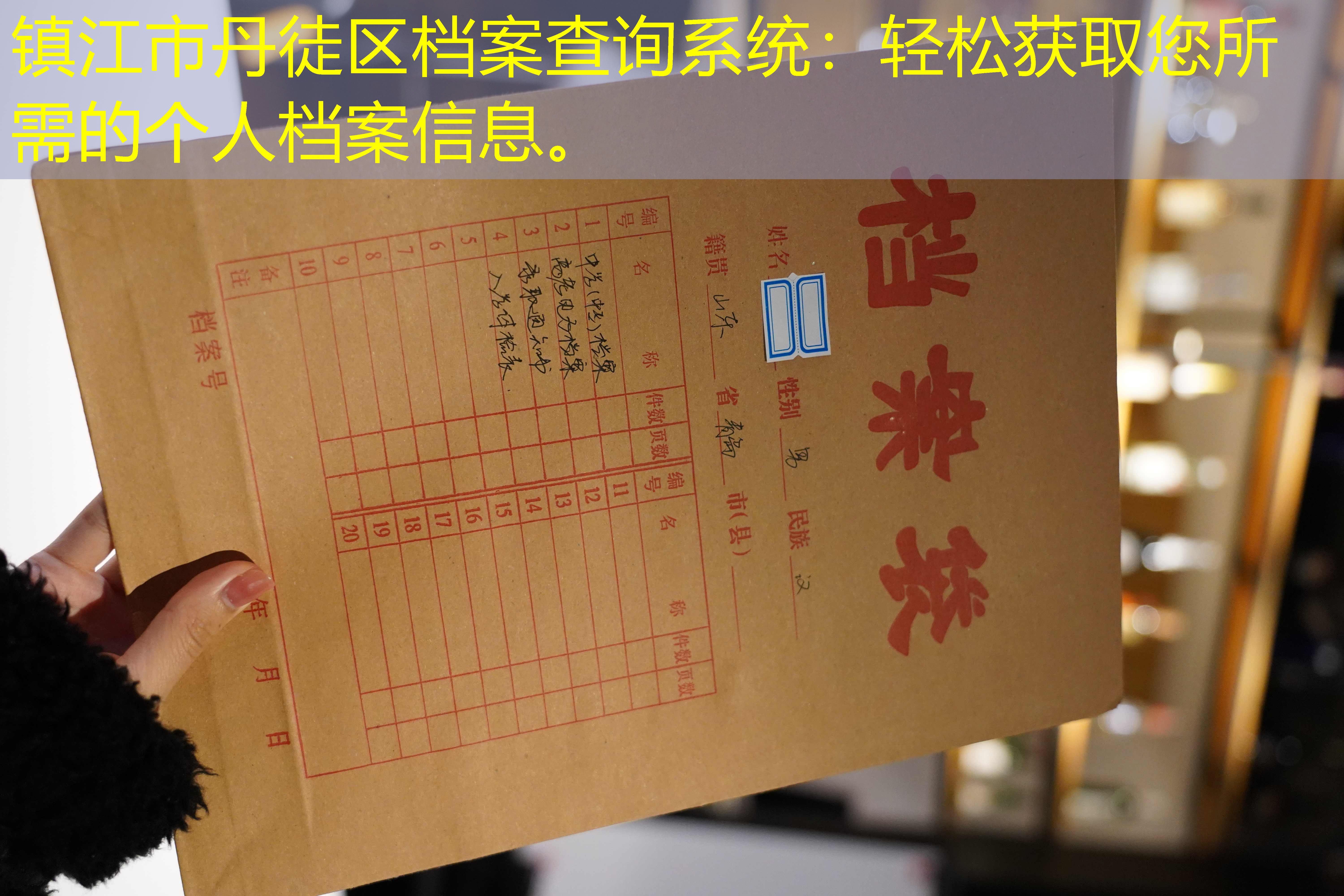 档案查询
