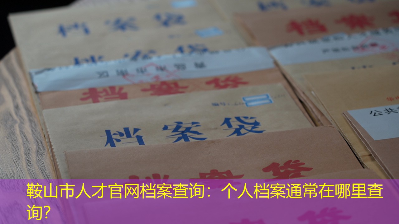 档案查询