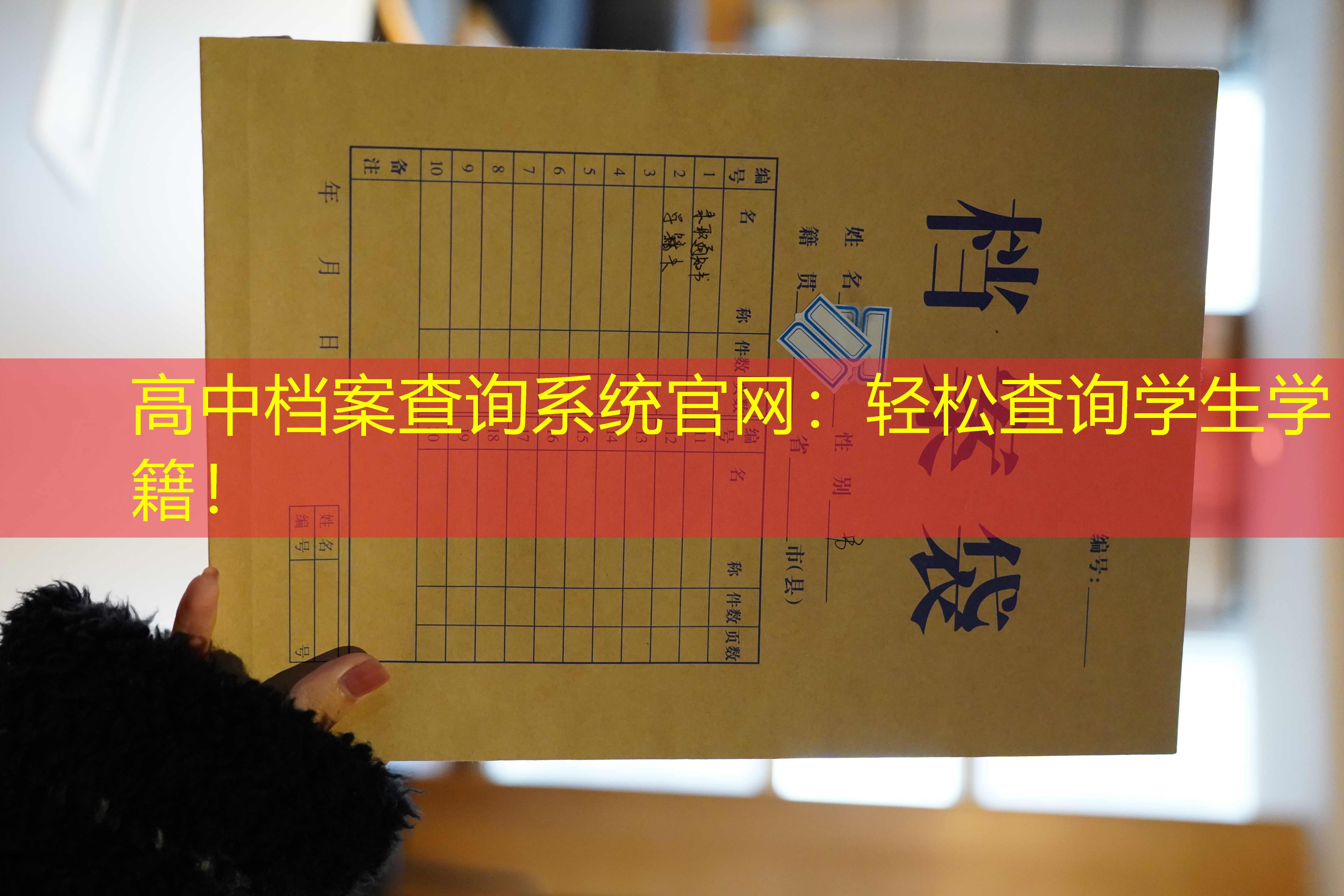 档案查询