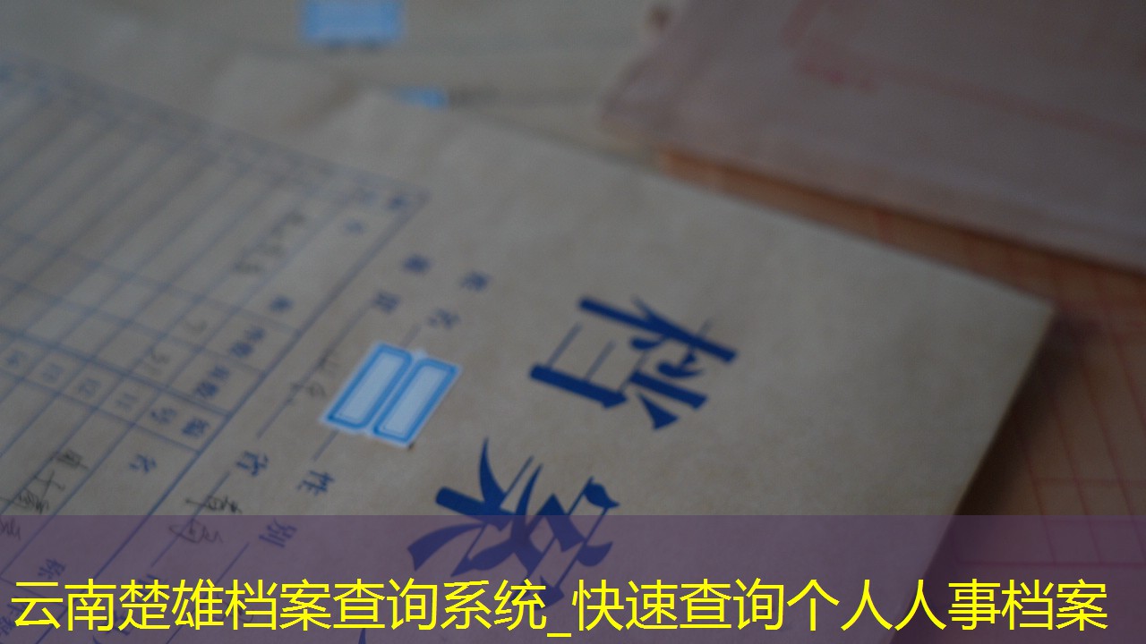 档案查询