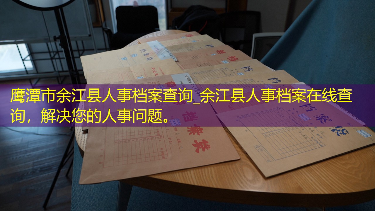 档案查询