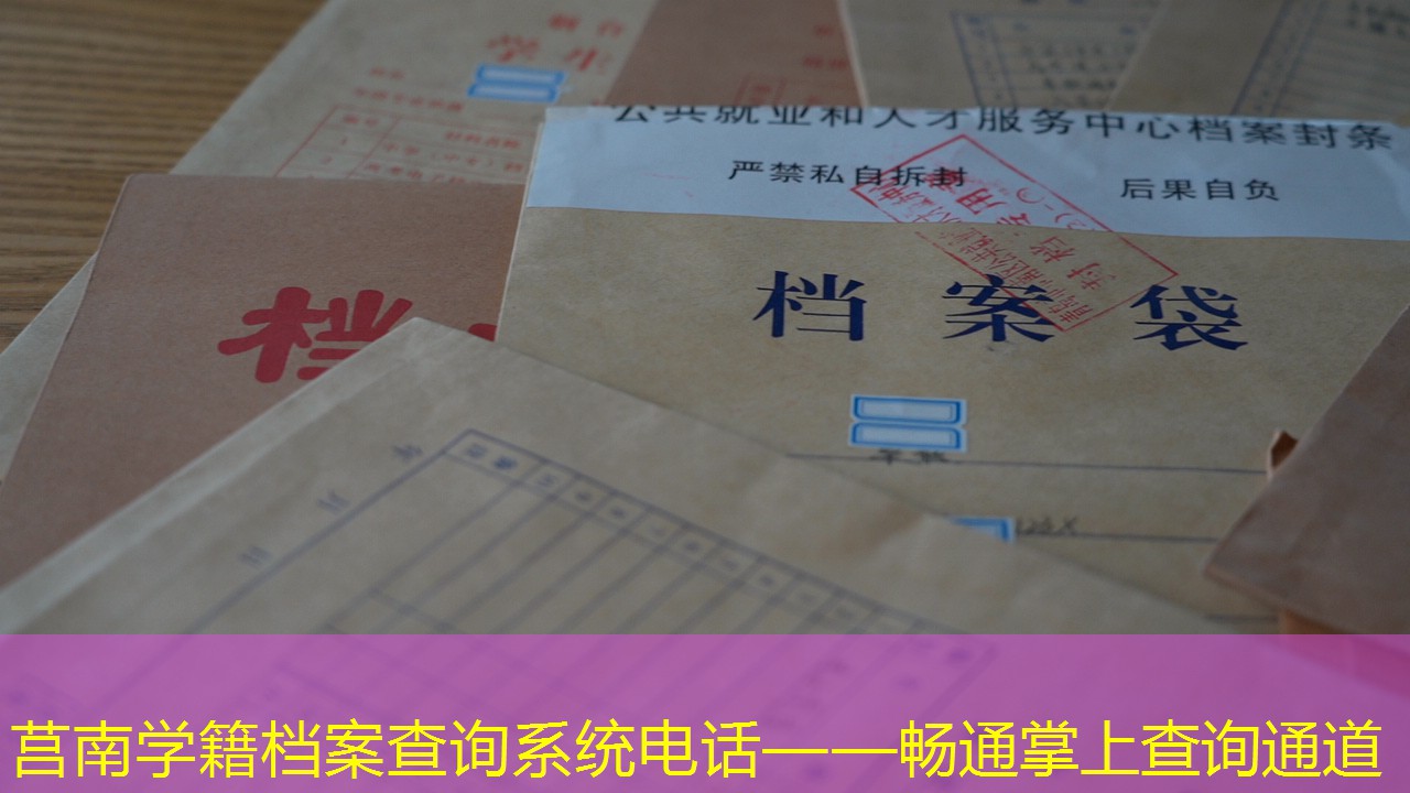 档案查询
