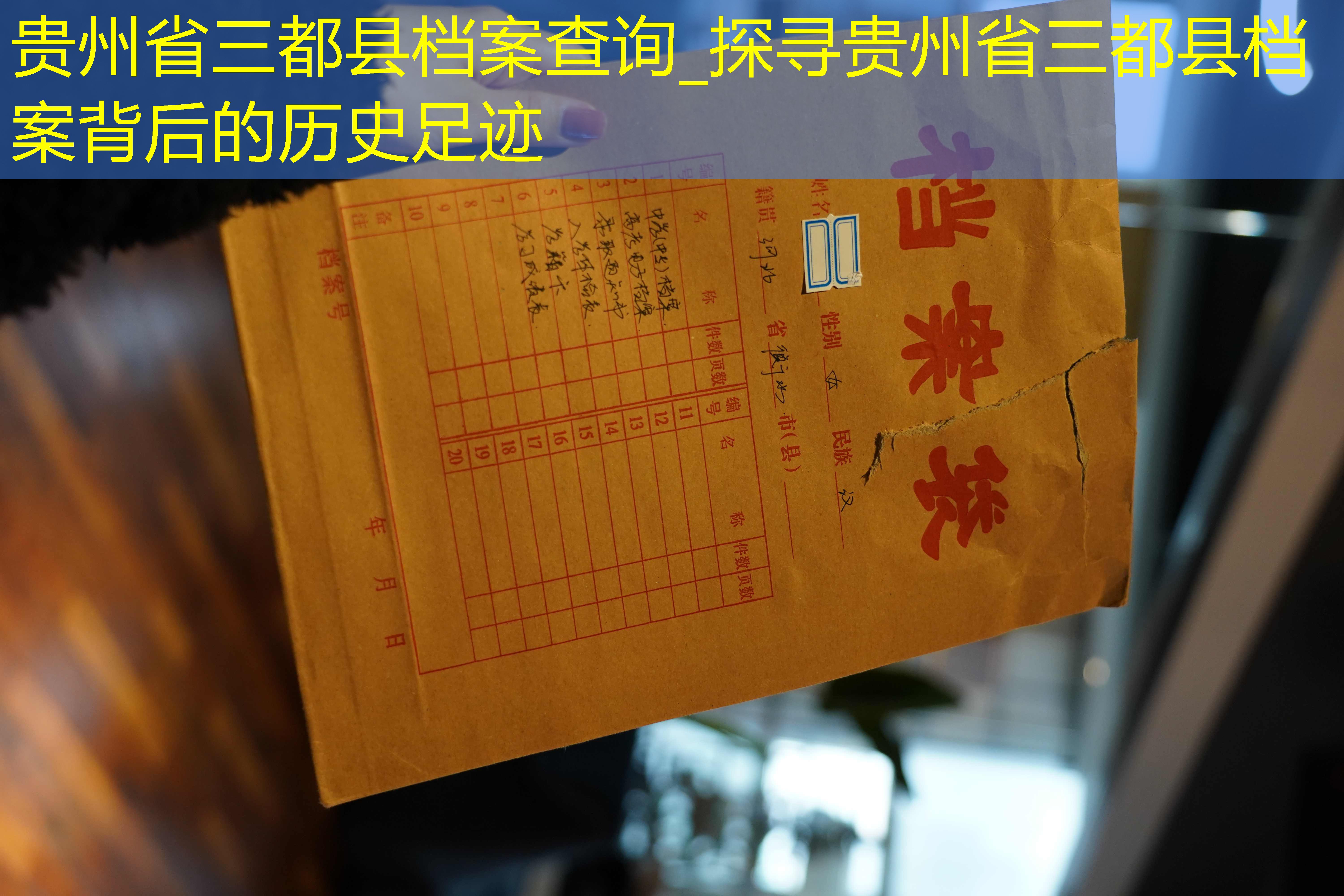 档案查询
