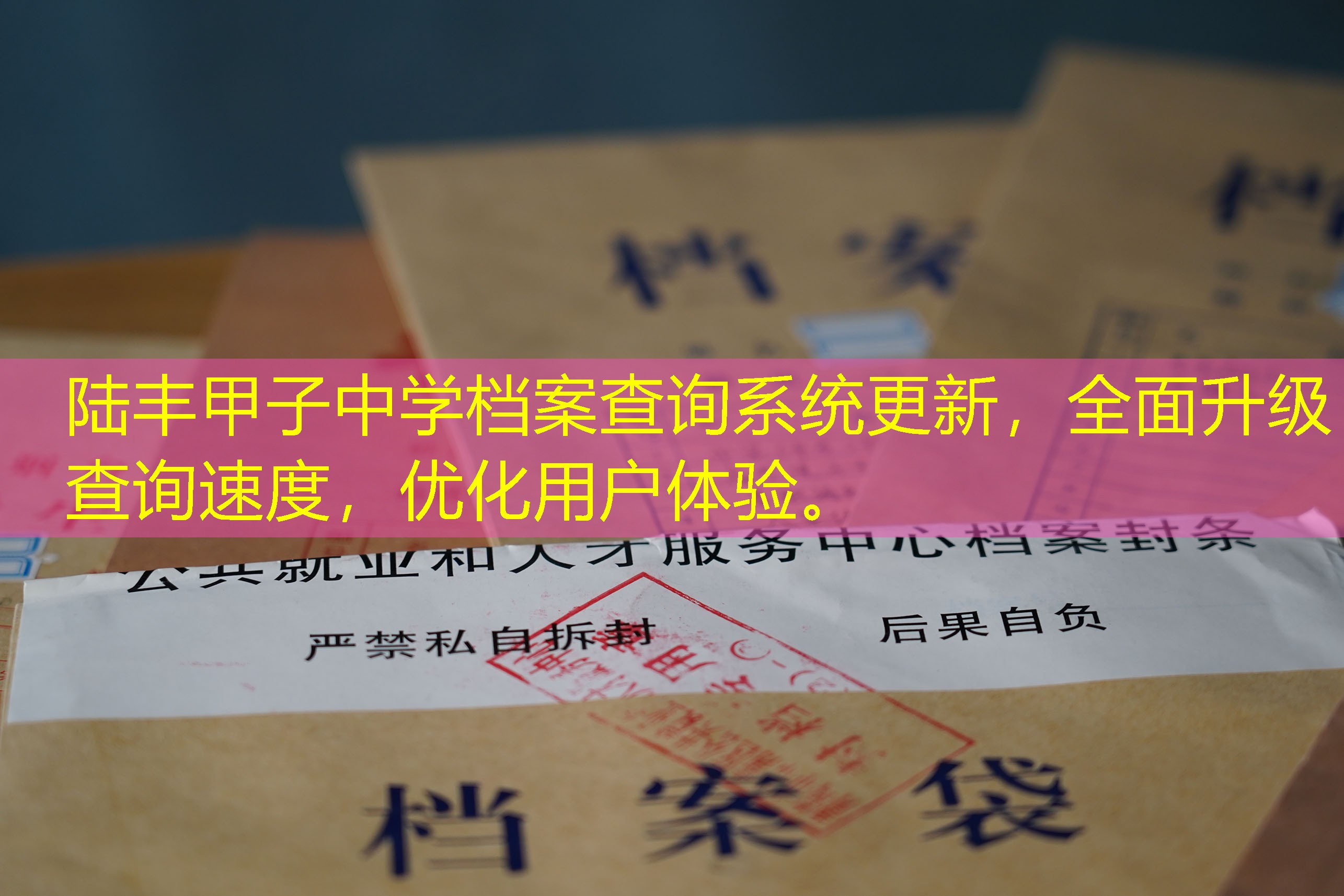 档案查询