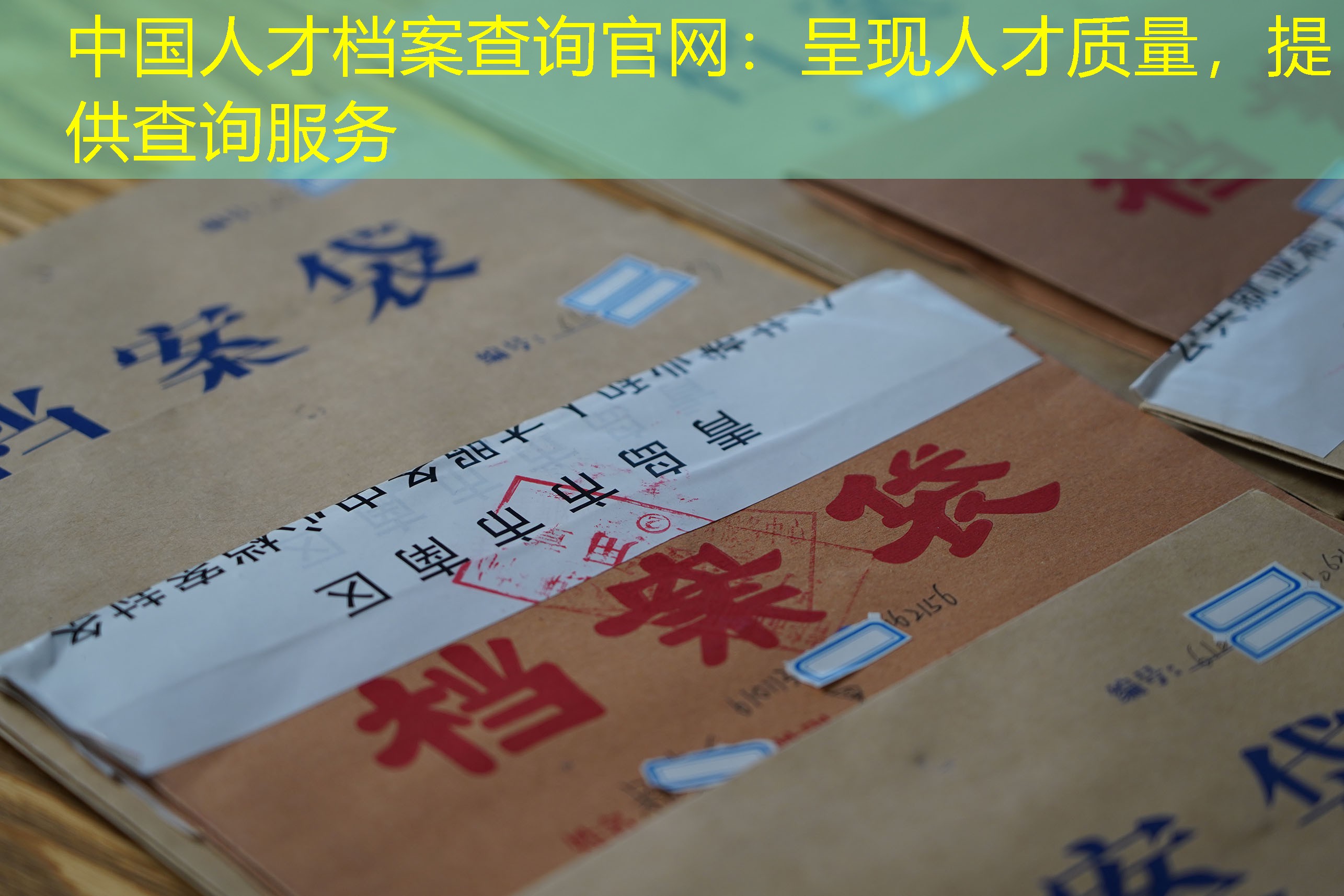 档案查询