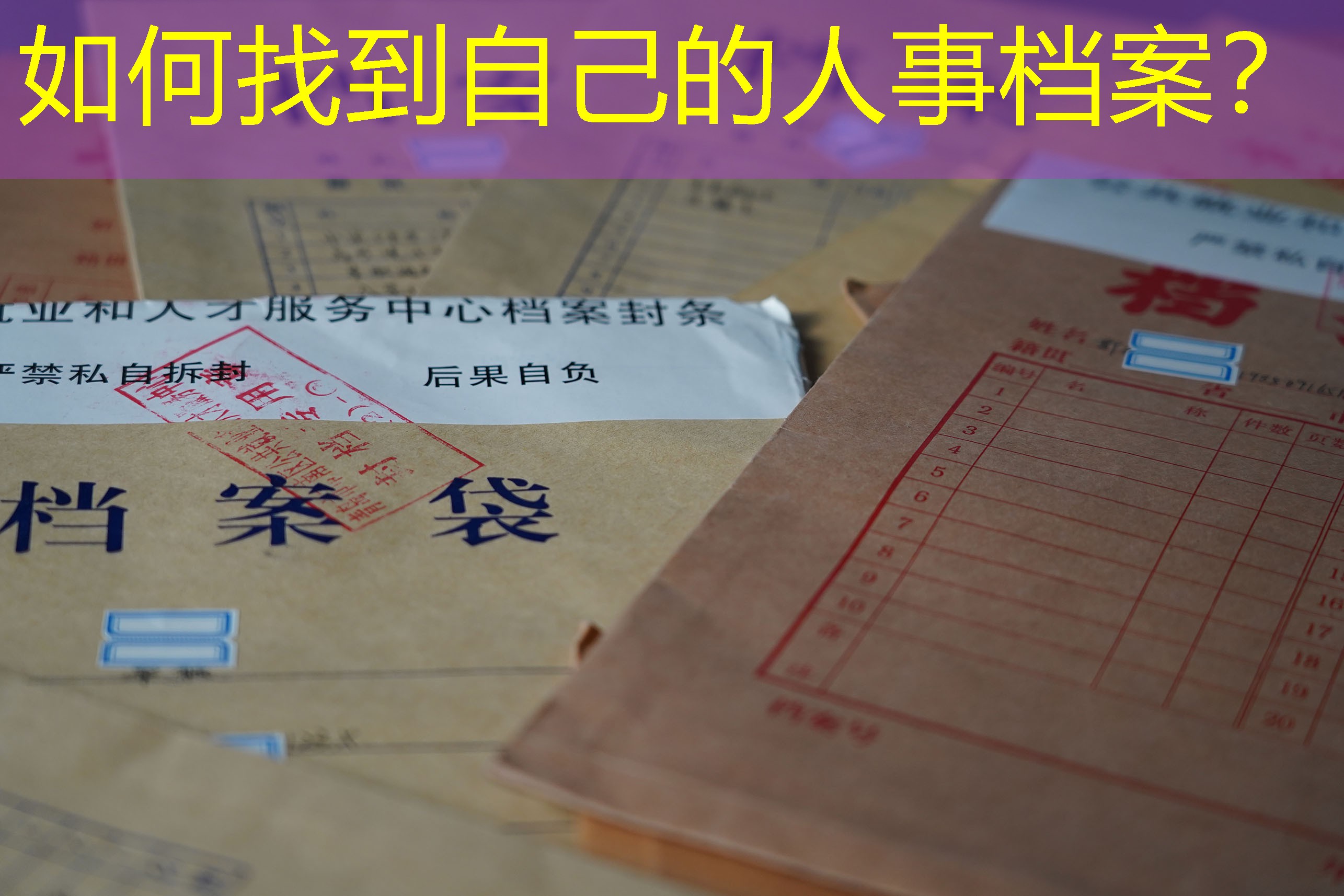 档案查询