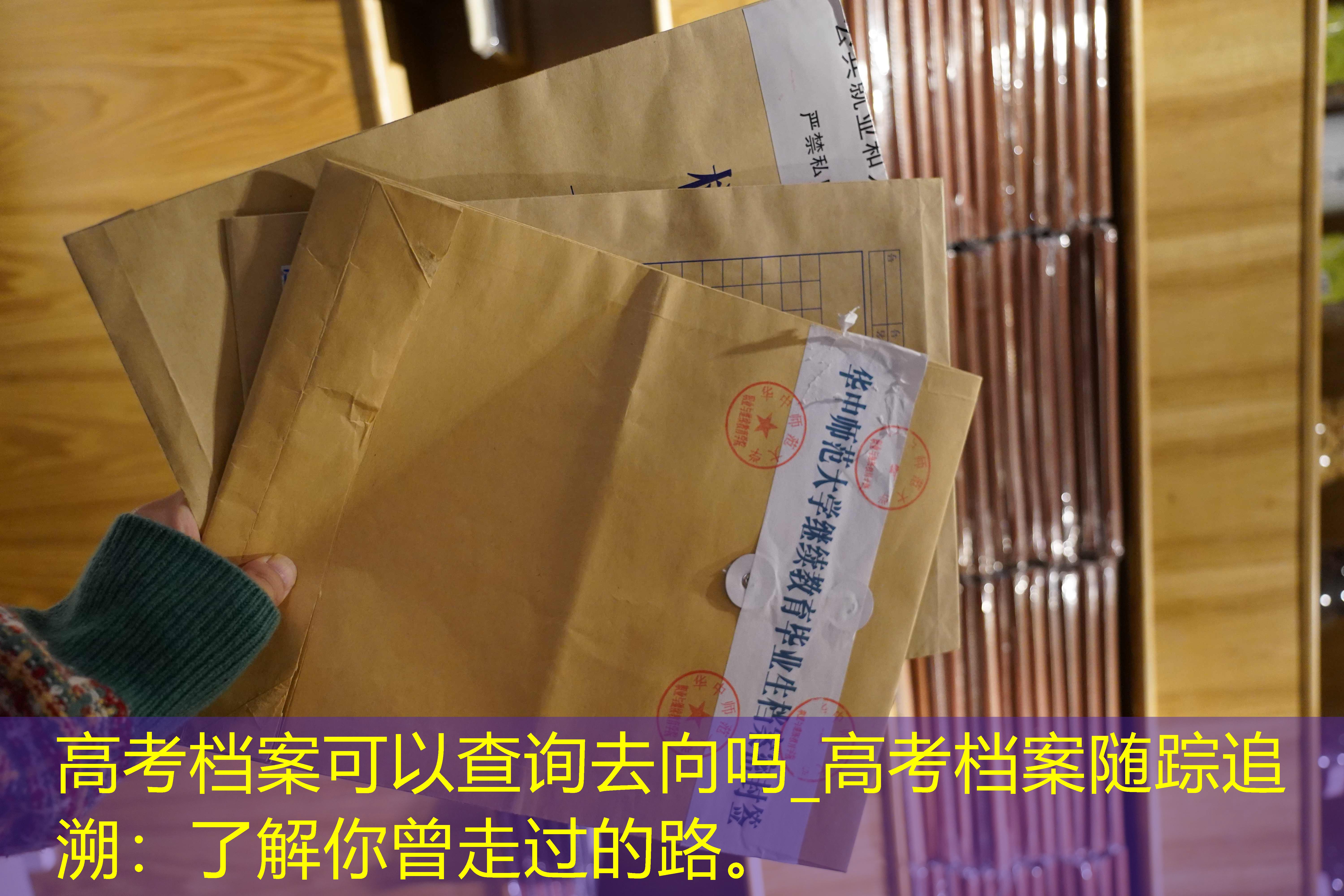 档案查询