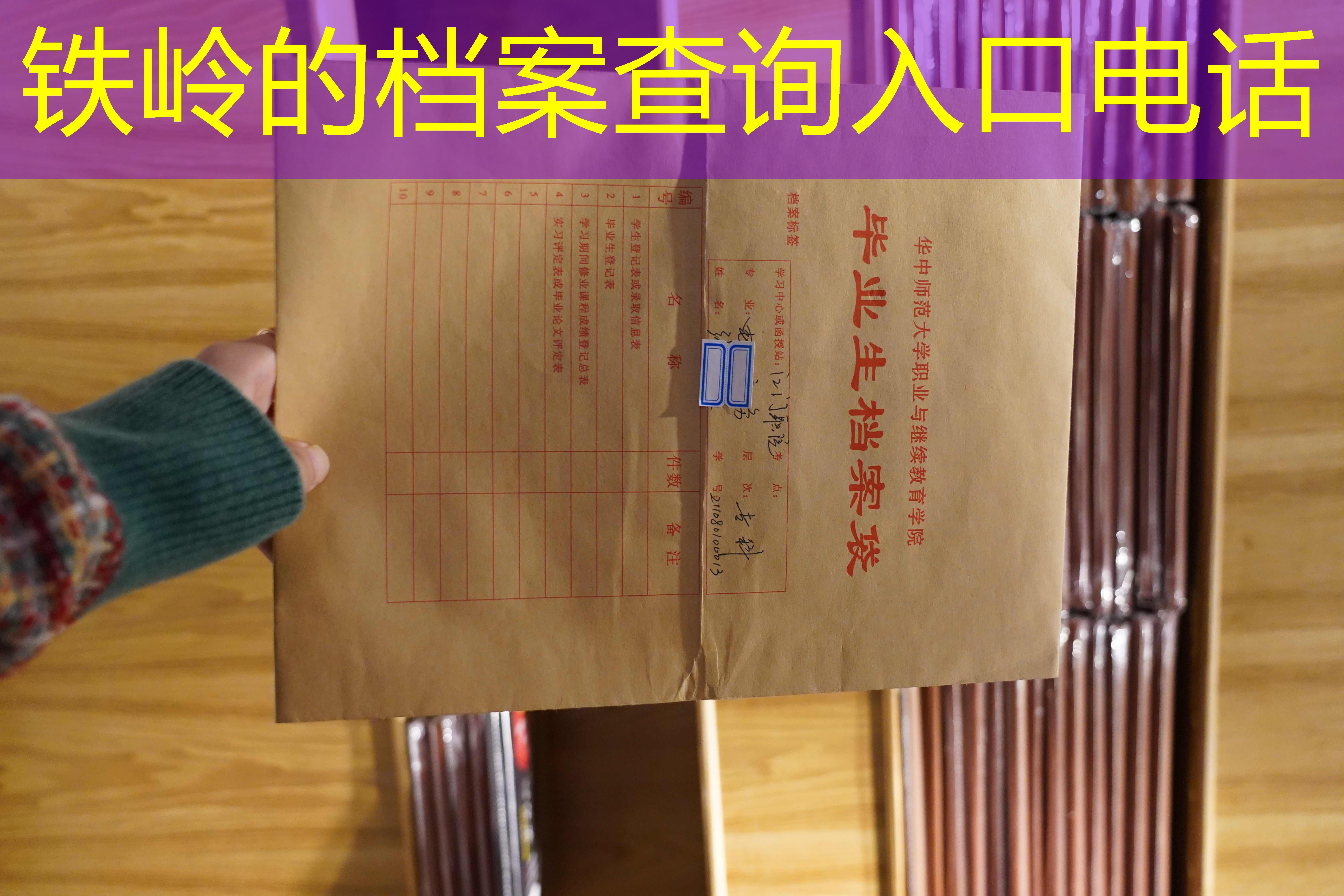 档案查询