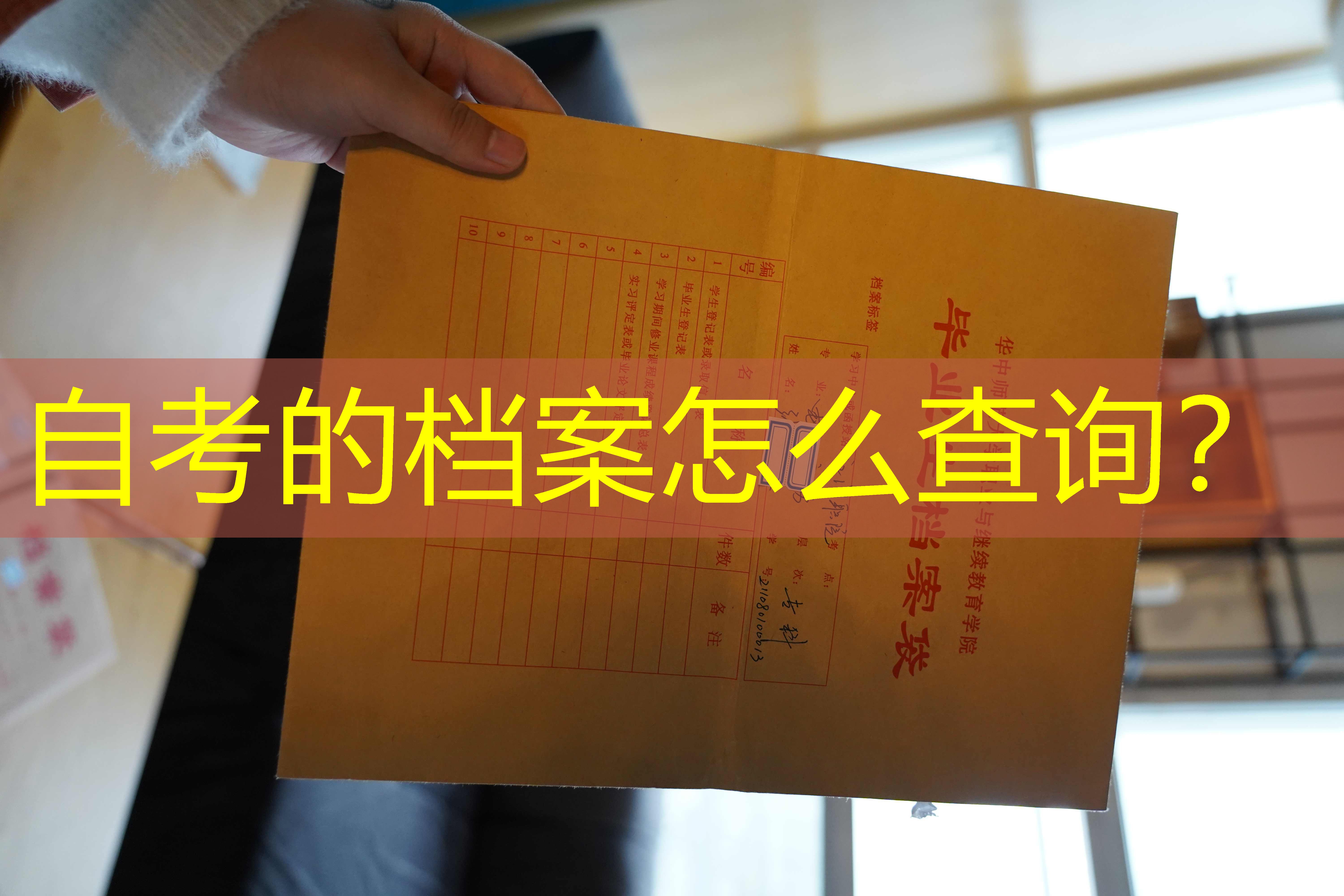 档案查询