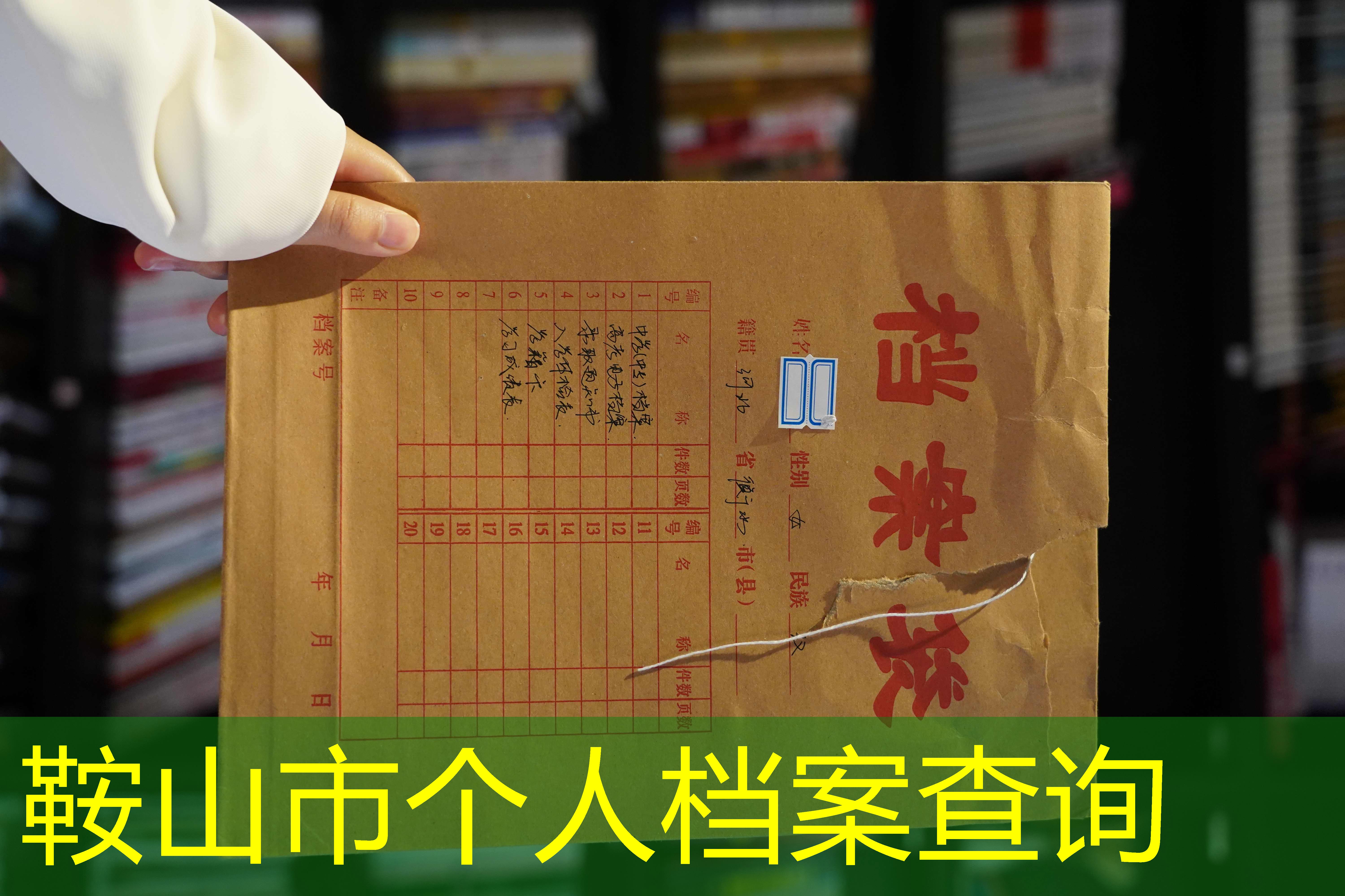 档案查询