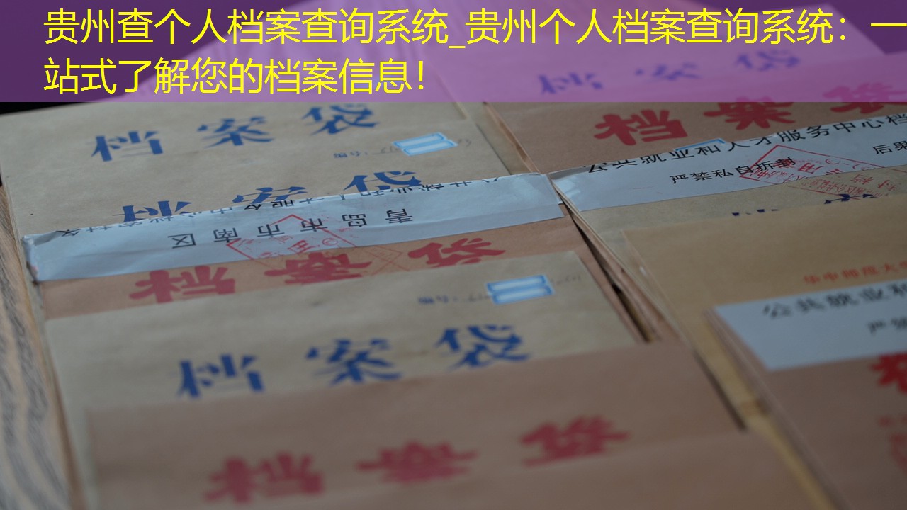 档案查询