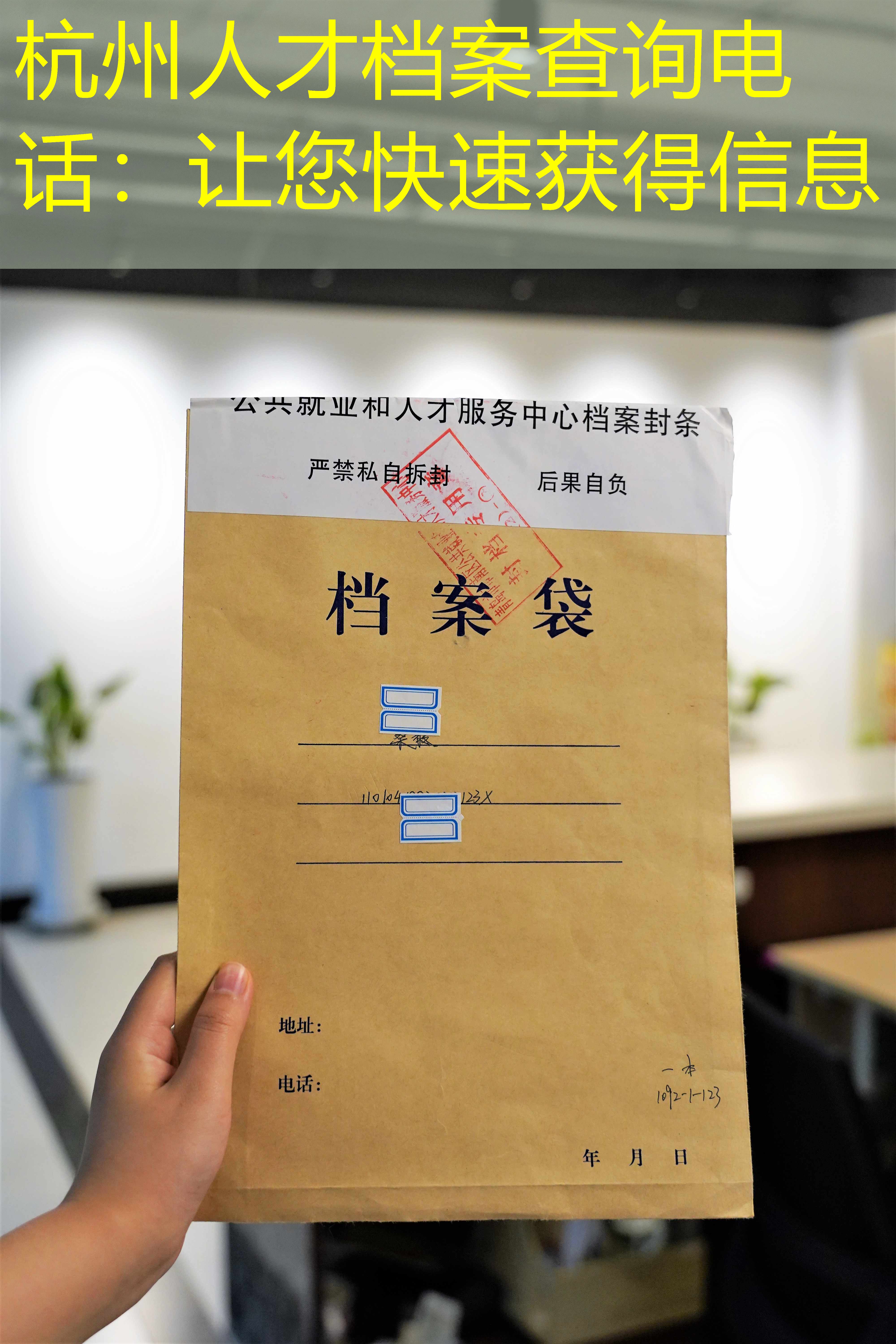 档案查询