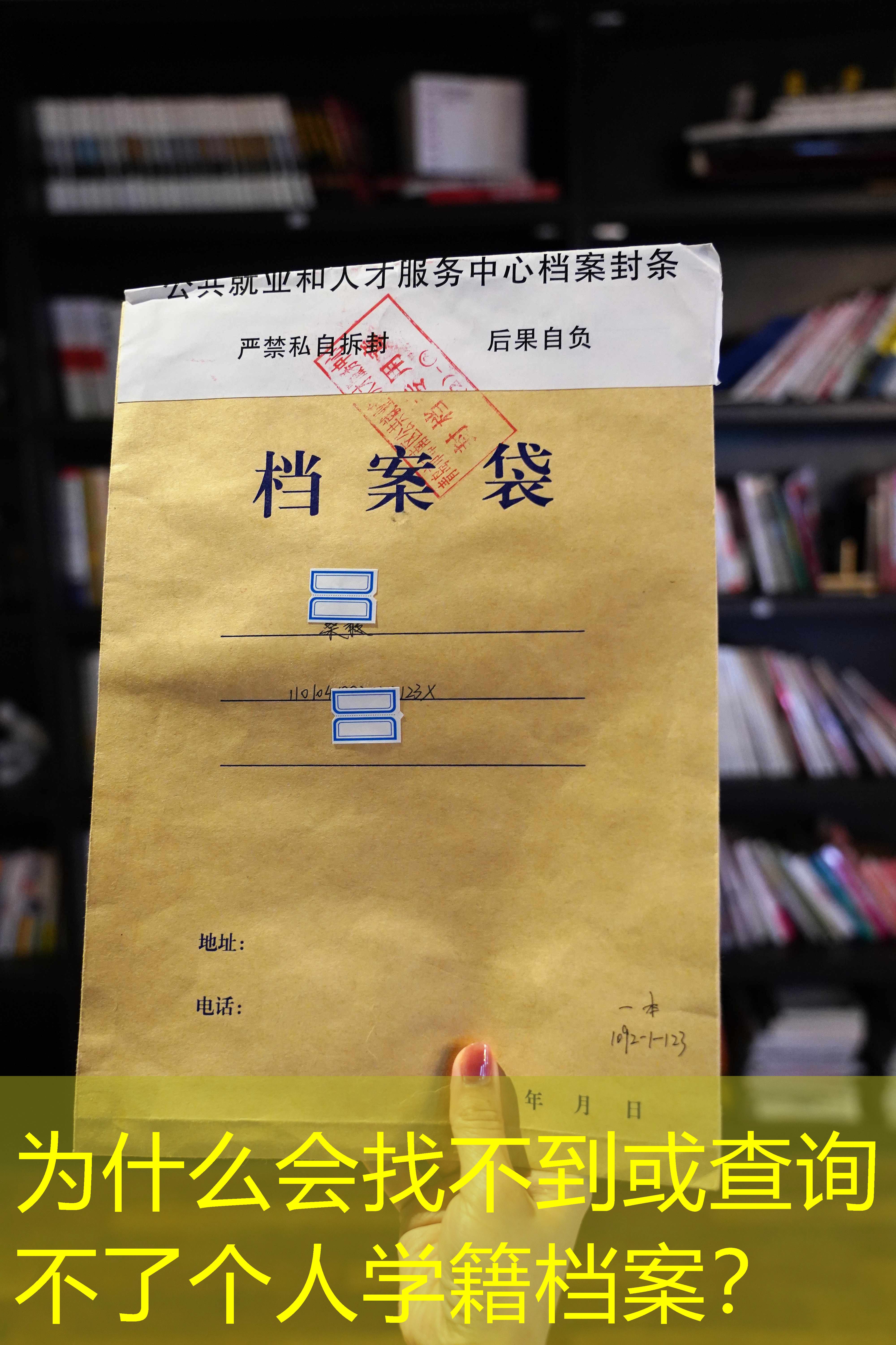 档案查询