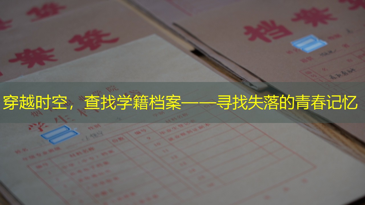 档案查询