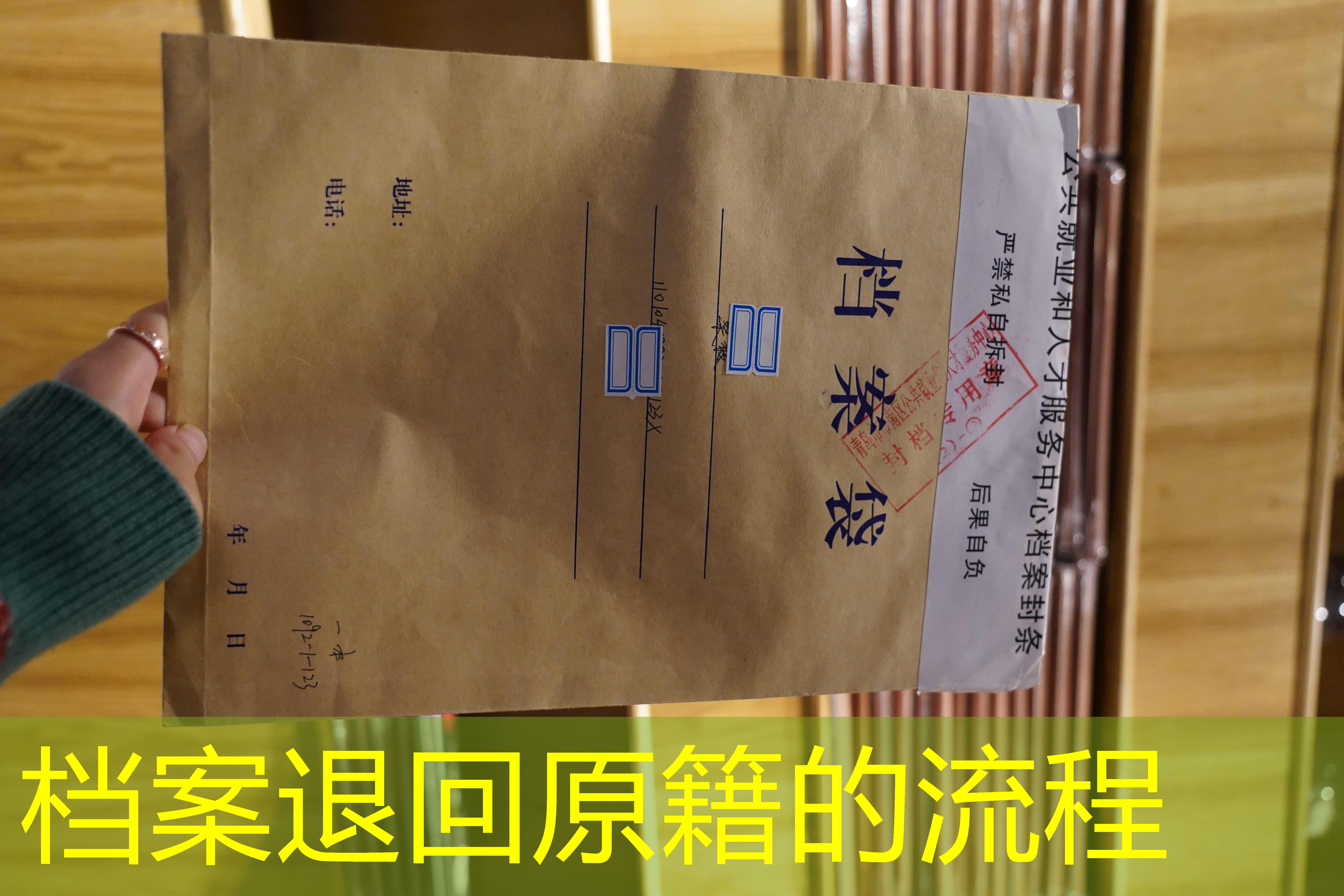 档案查询