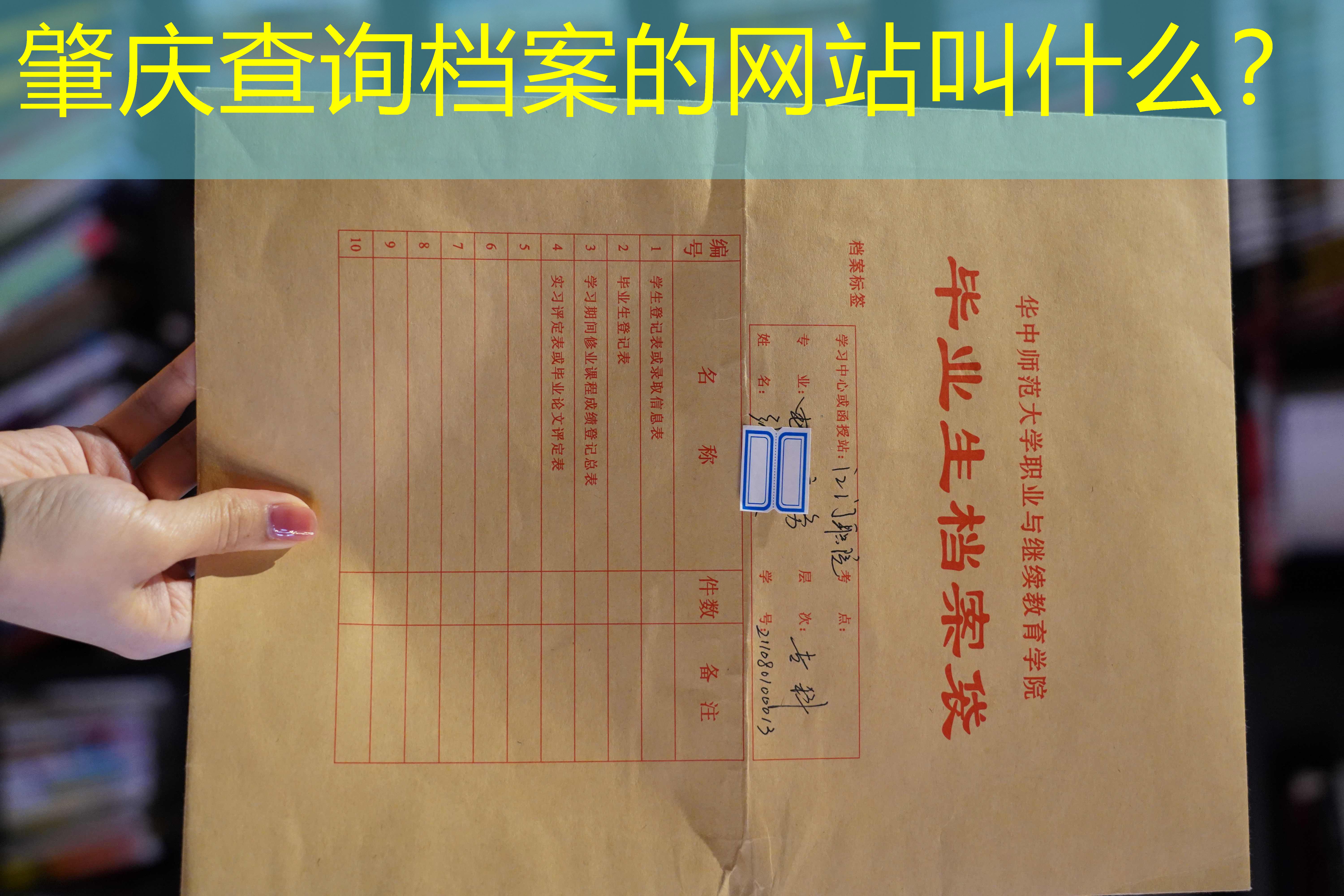 档案查询