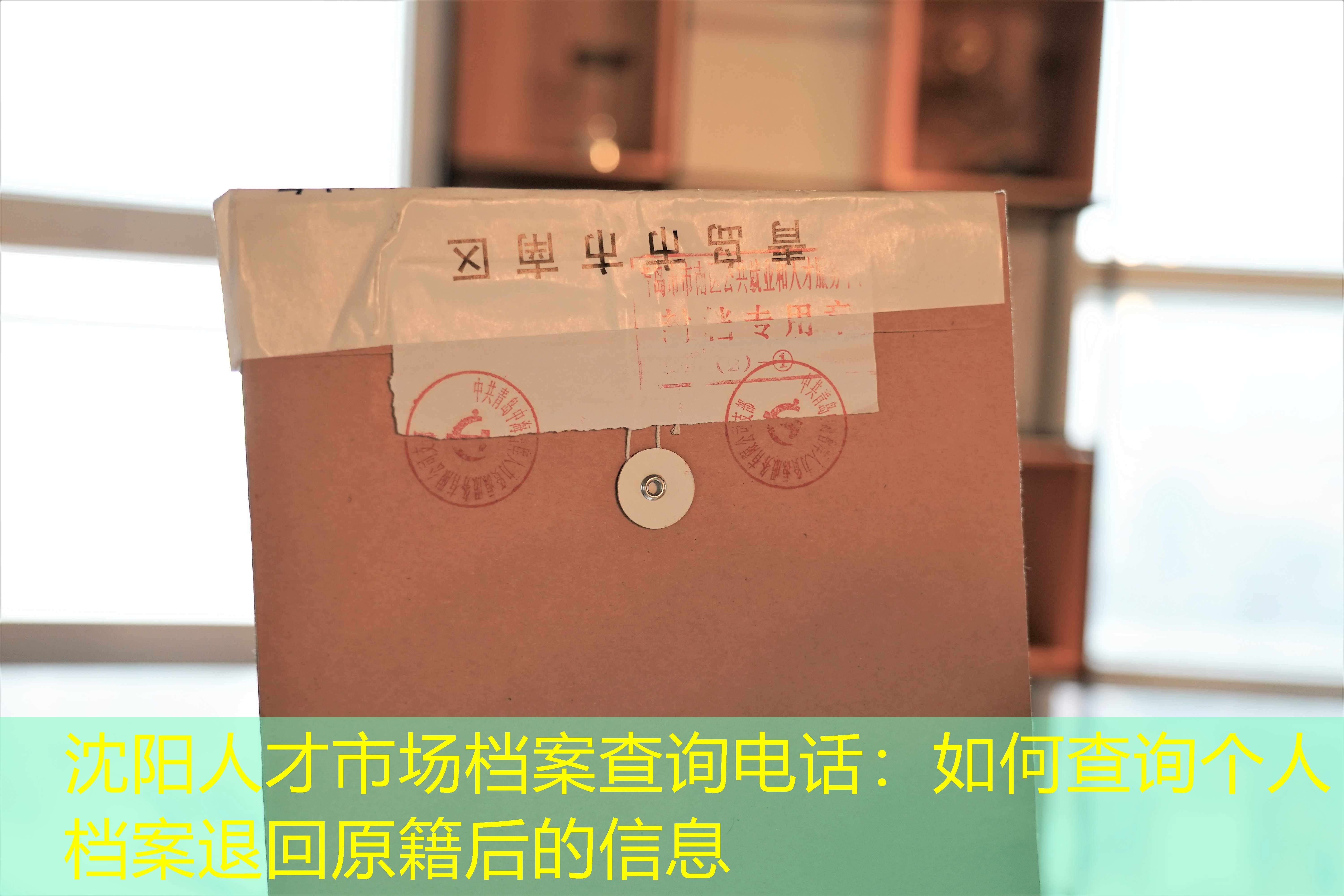 档案查询
