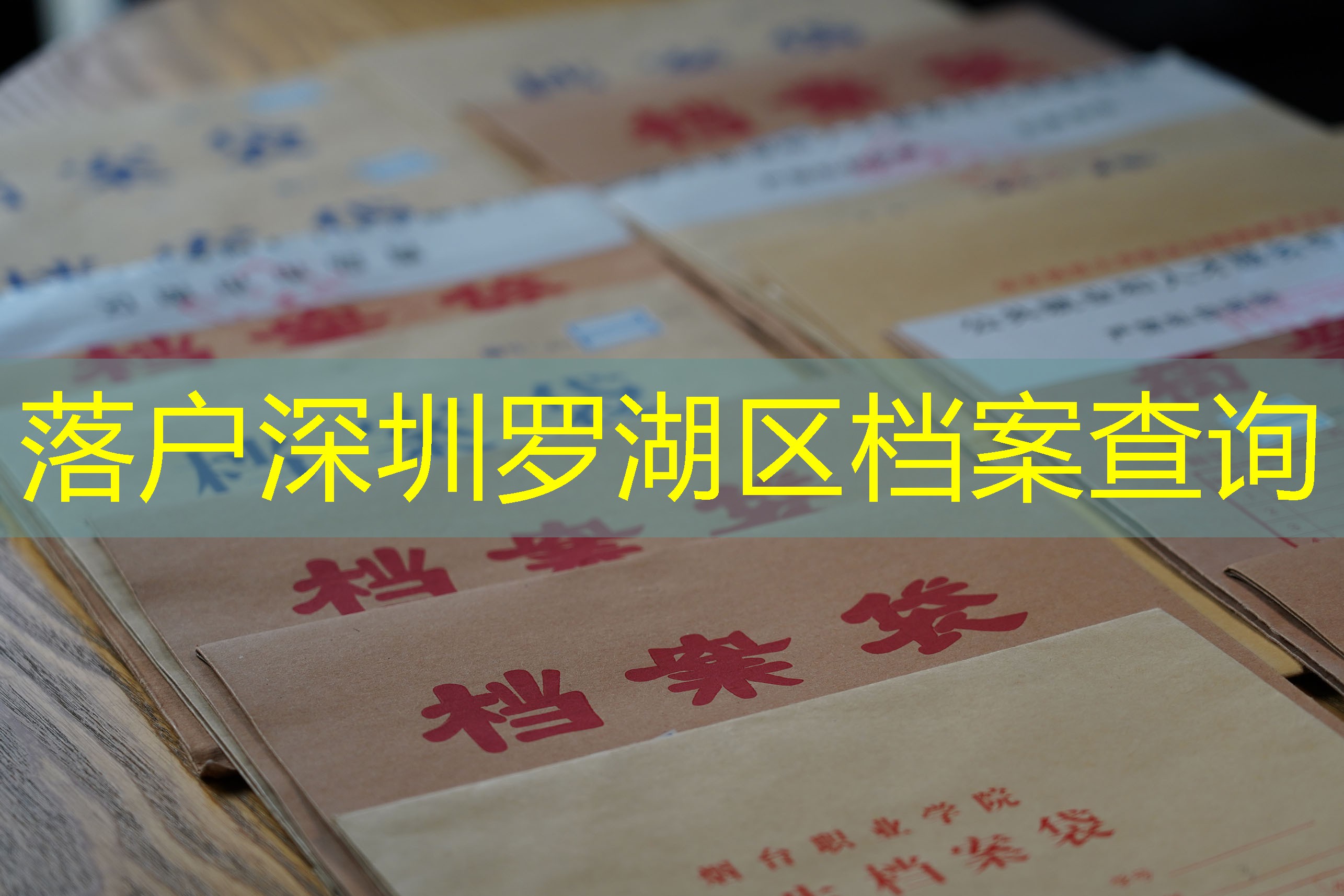 档案查询