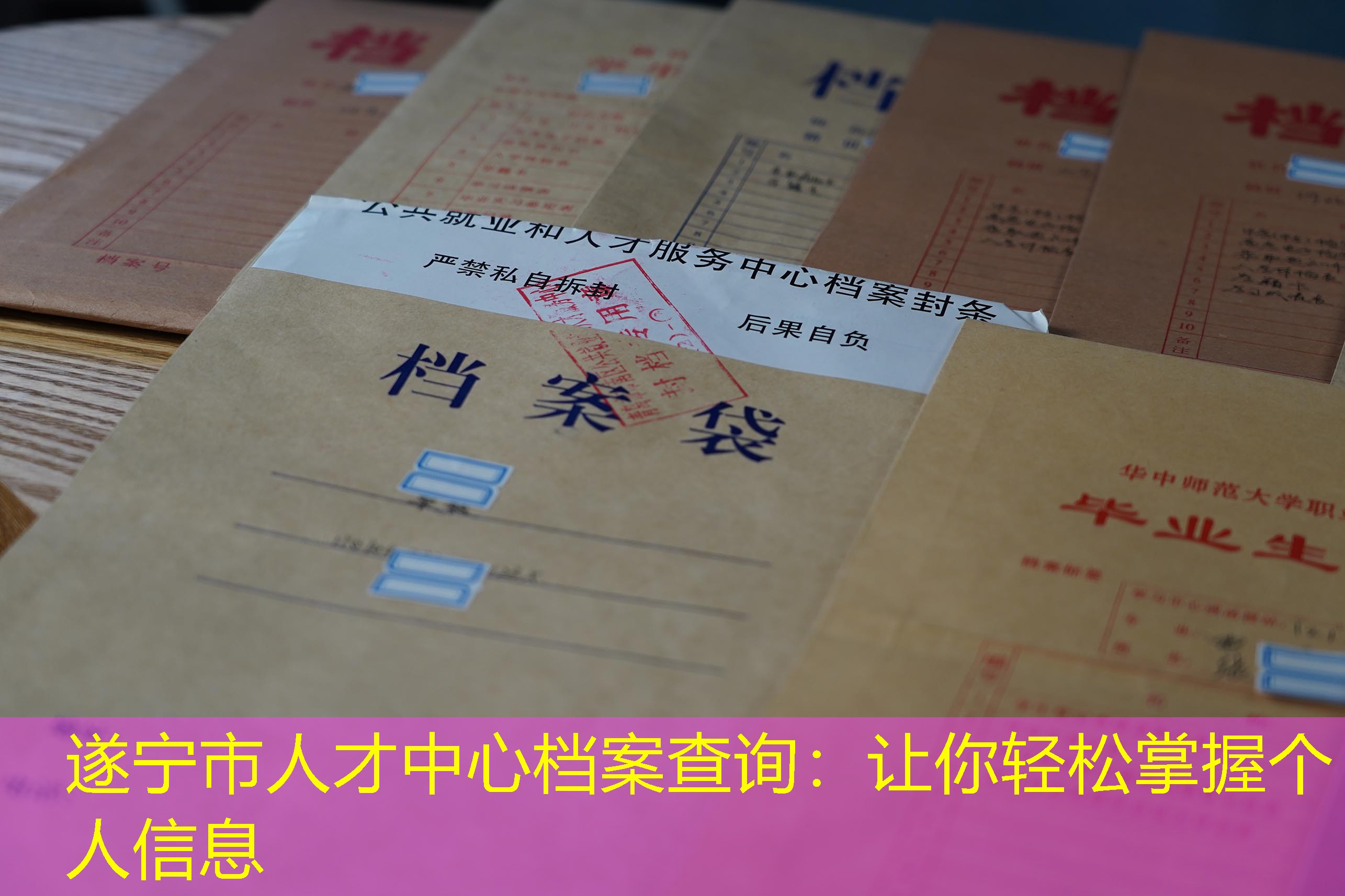 档案查询