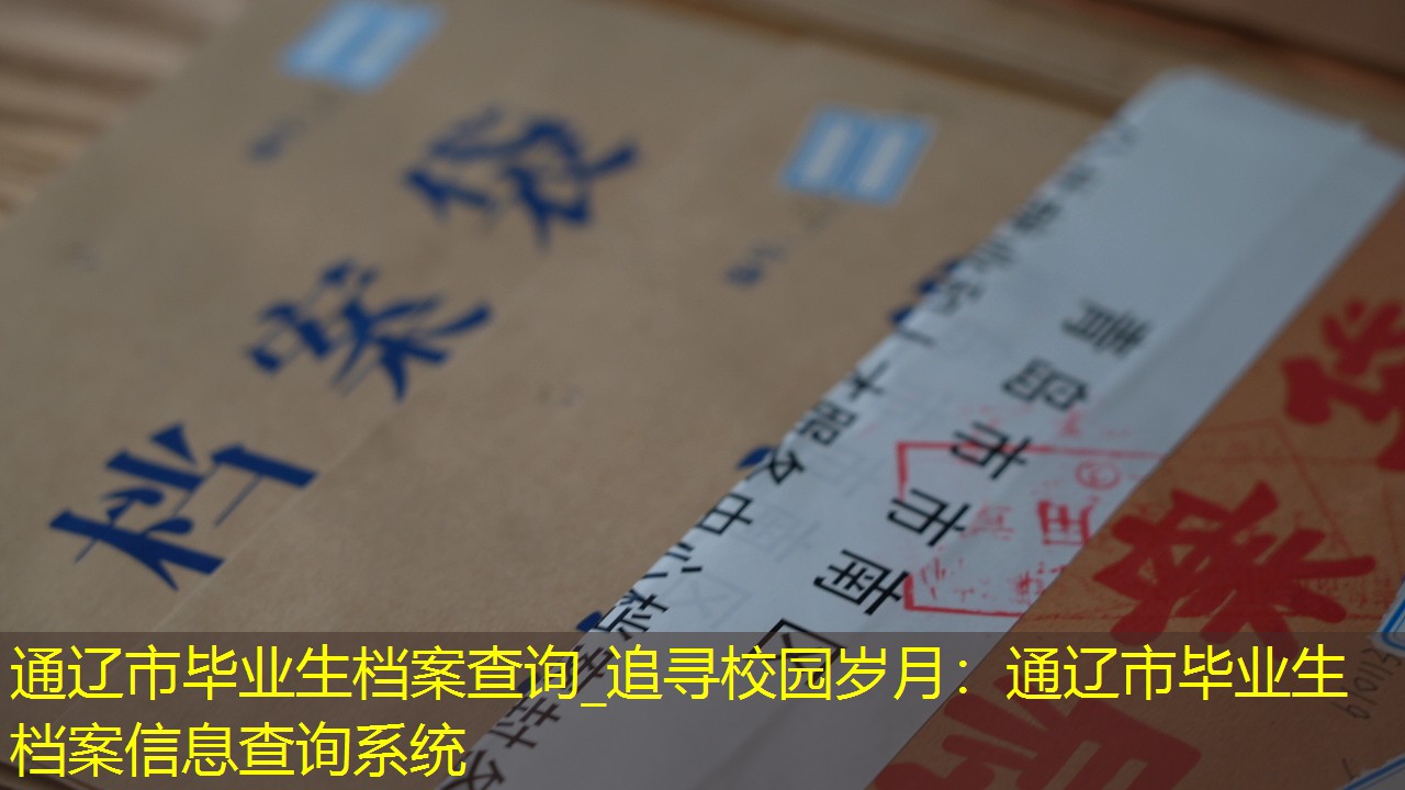 档案查询