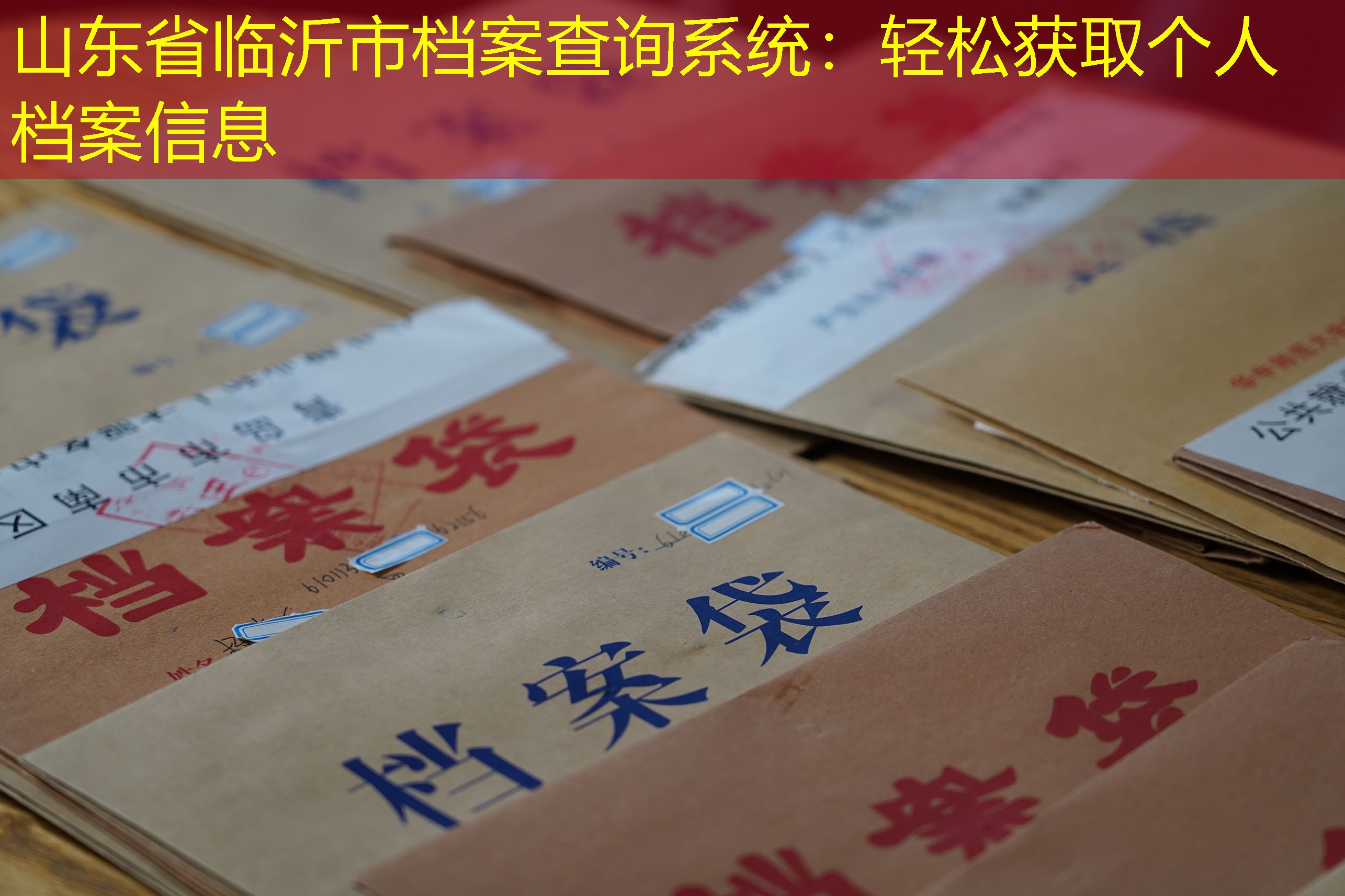 档案查询