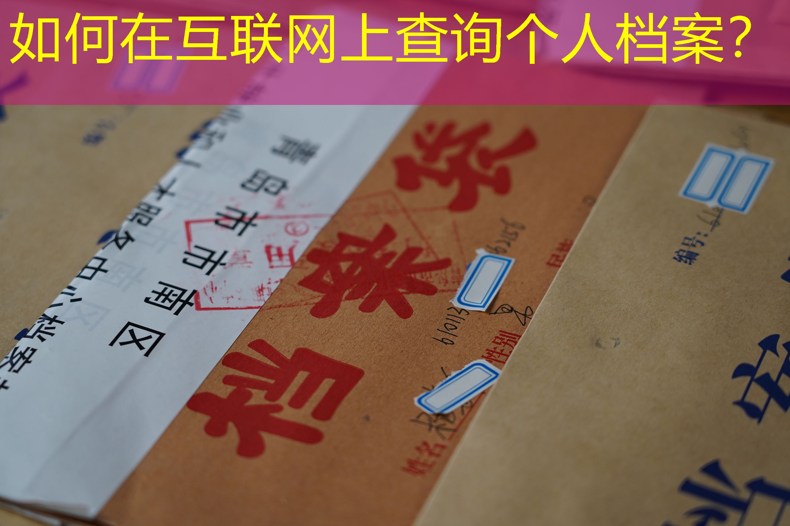 档案查询