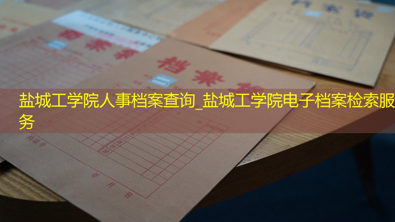 档案查询